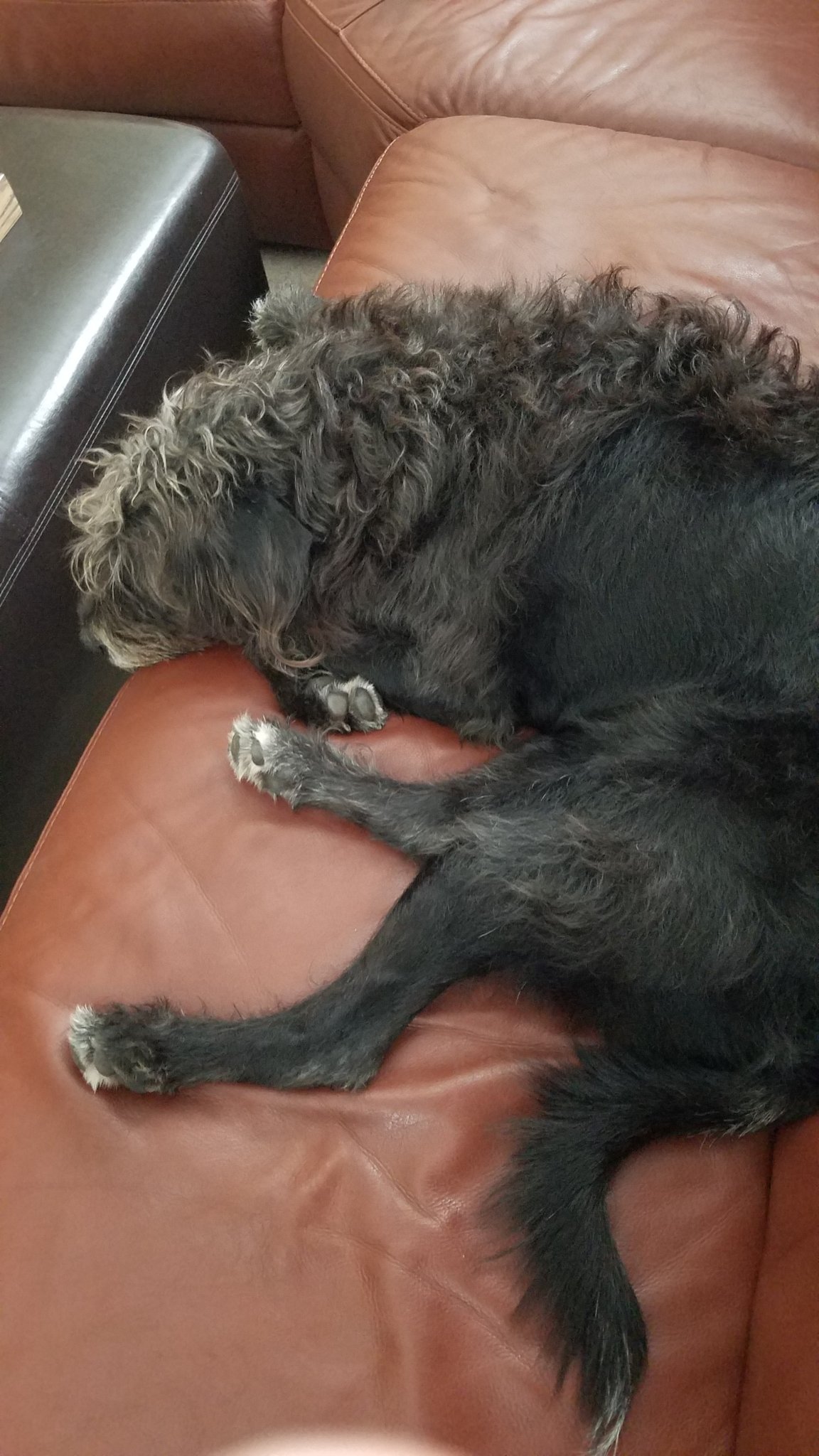 20191005_152309.jpg