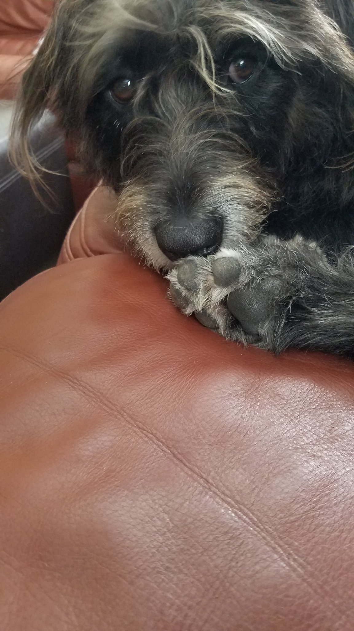 20191005_152329.jpg