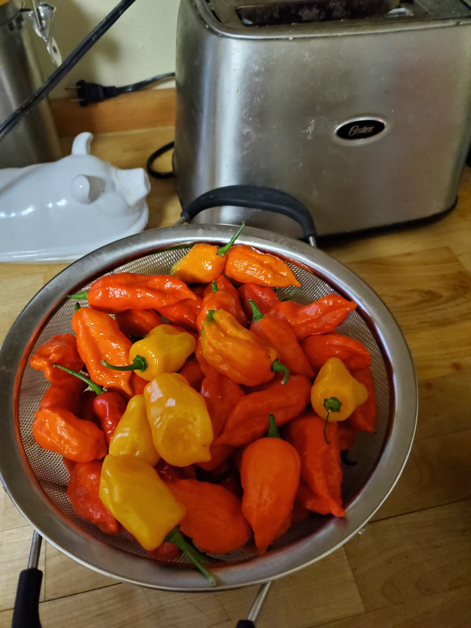 20191011_173140.jpg