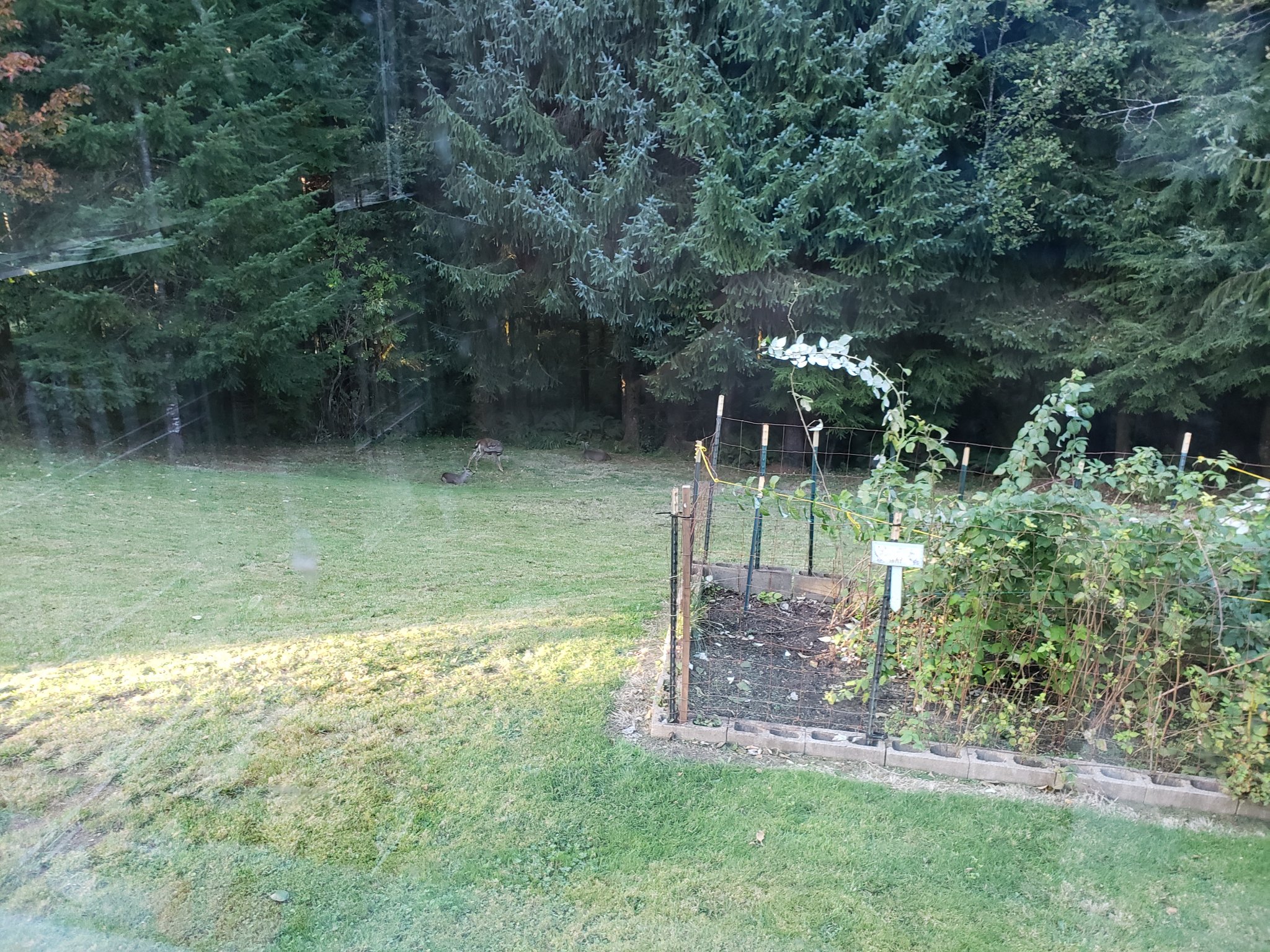 20191013_172749.jpg