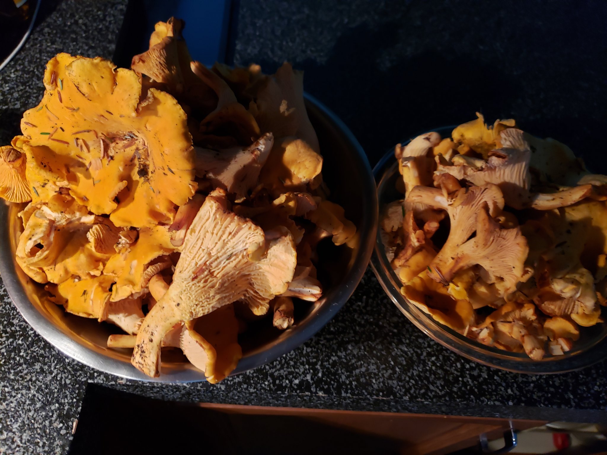 20191013_173030.jpg