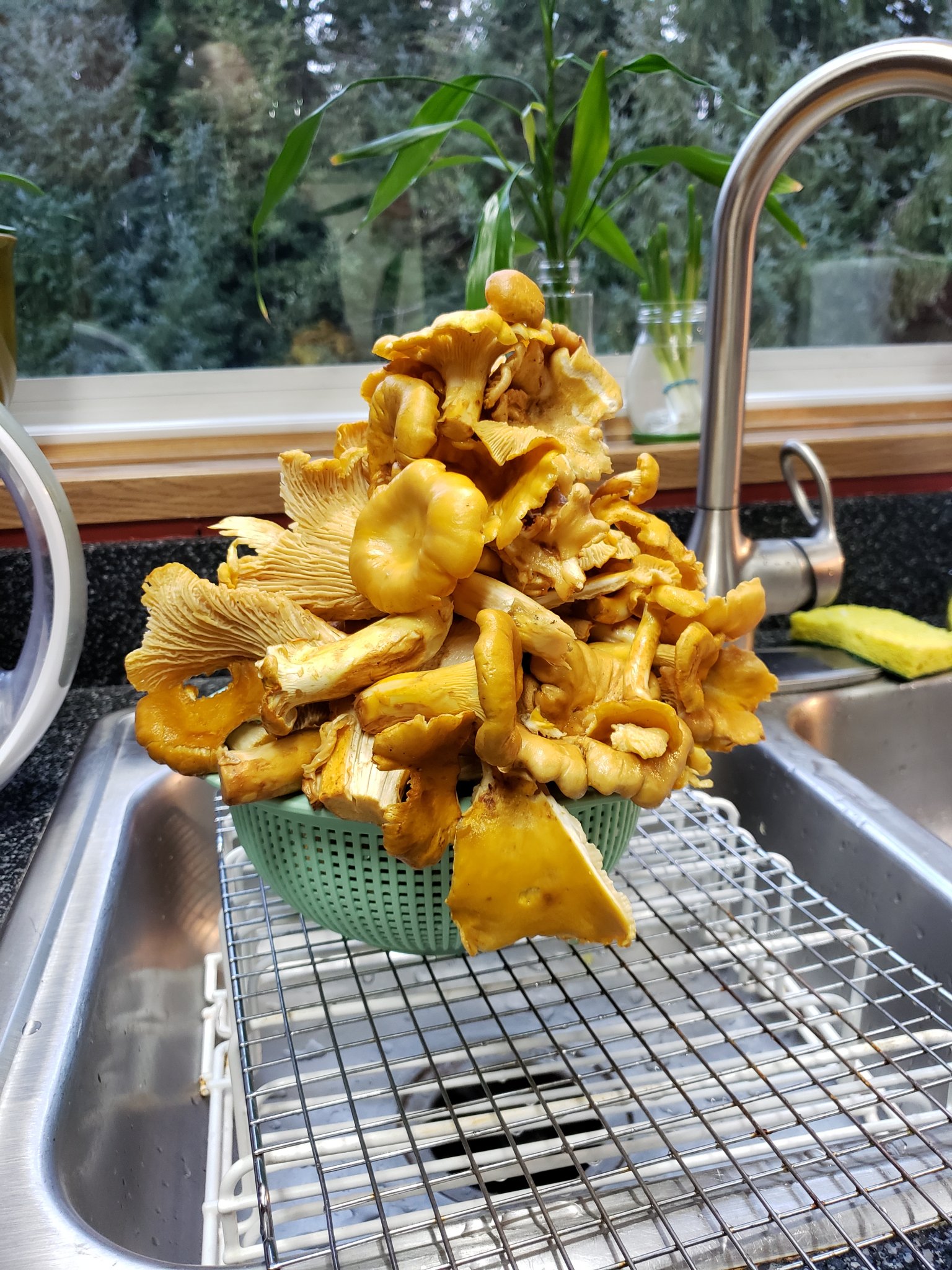 20191013_182558.jpg