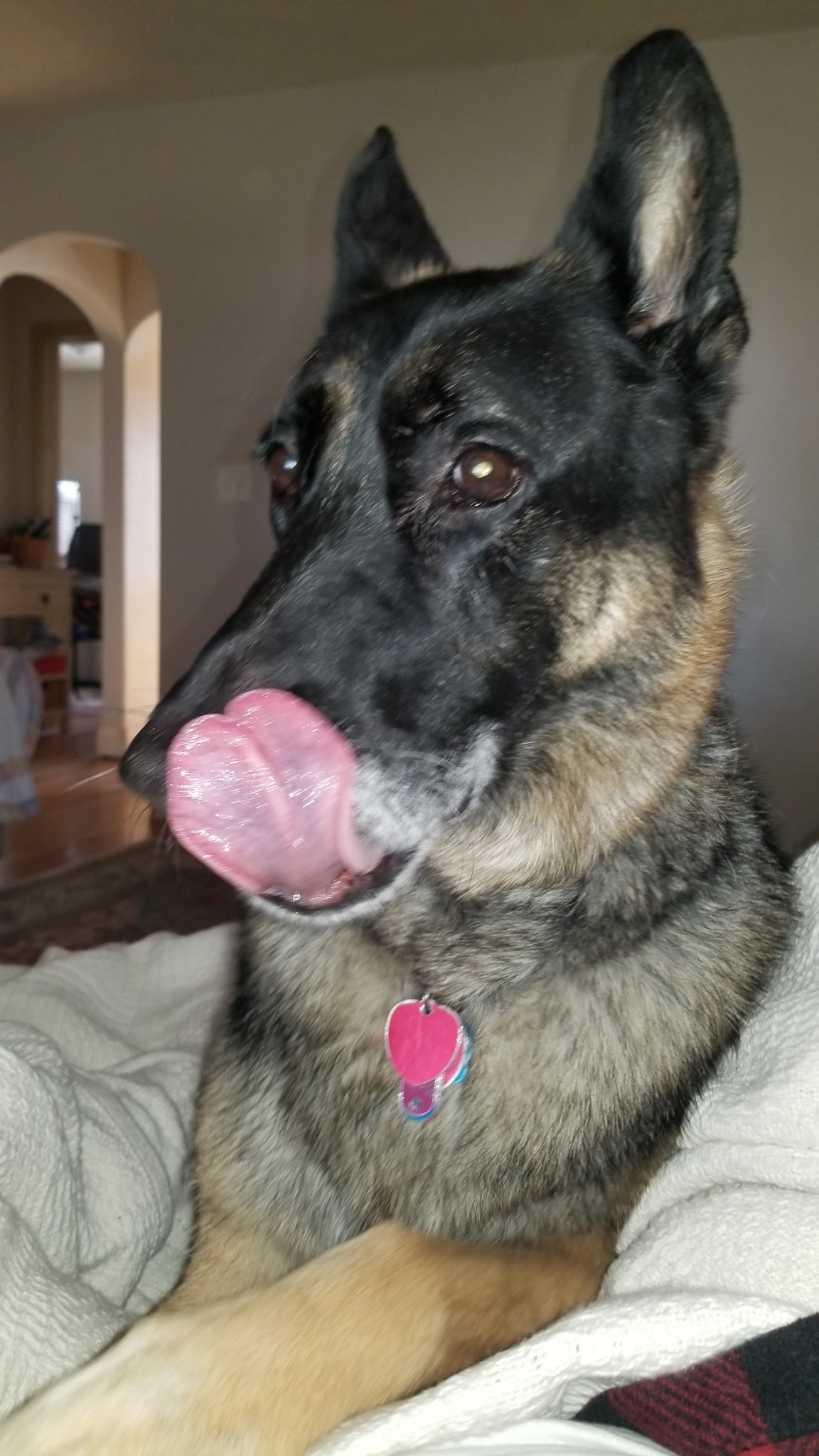 20191020_094302.jpg