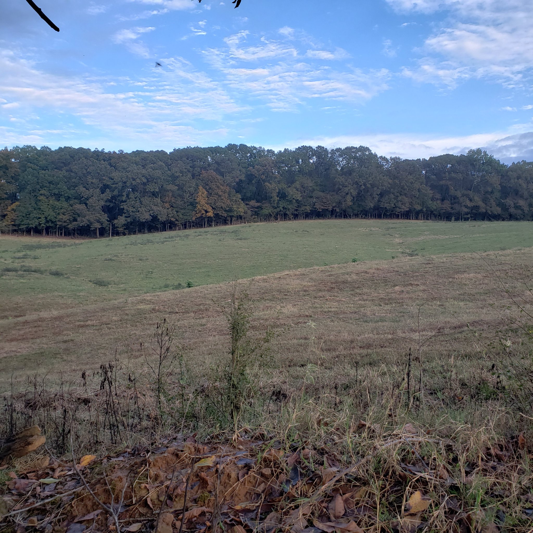 20191030_172452.jpg