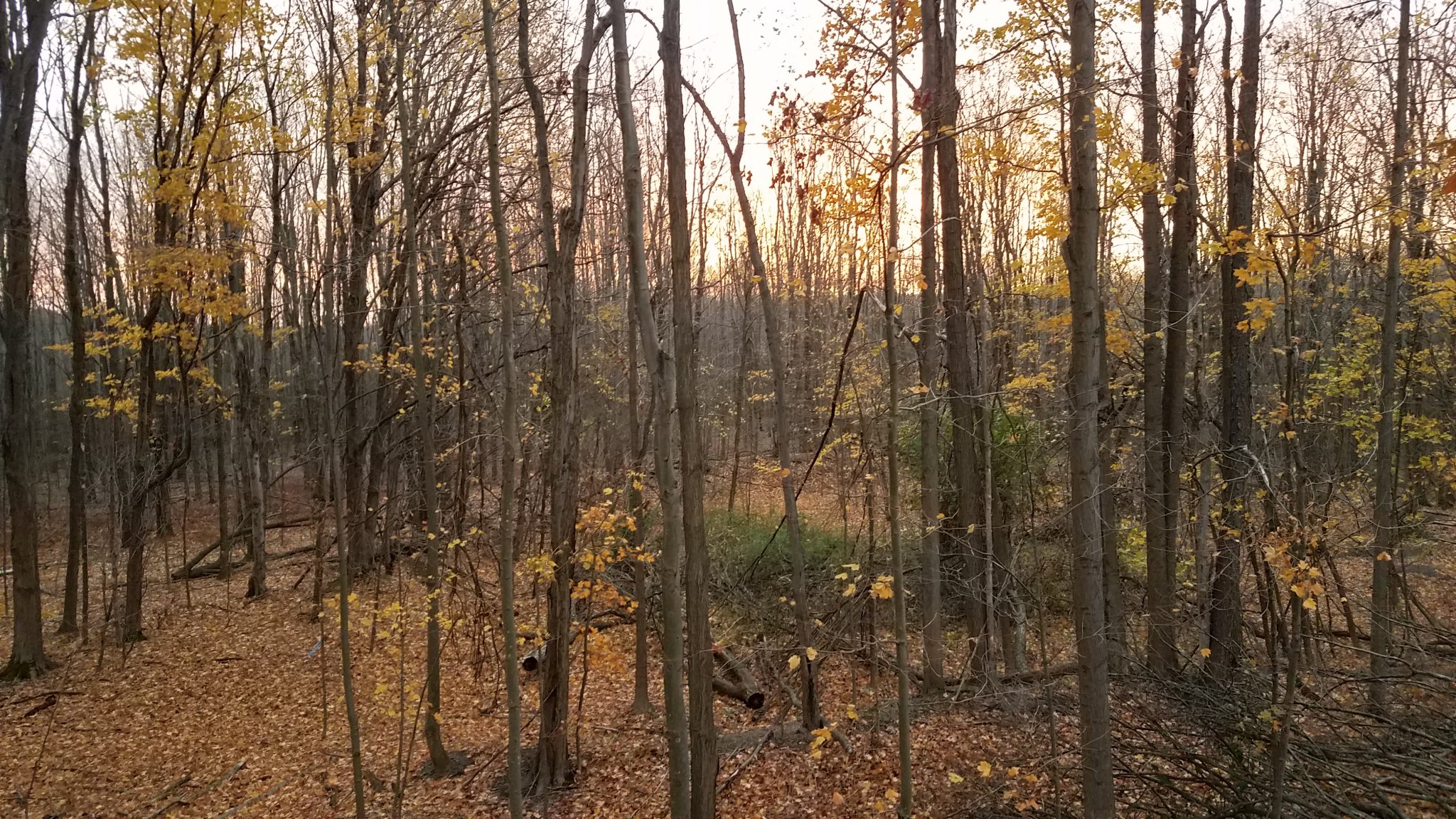 20191102_074841.jpg