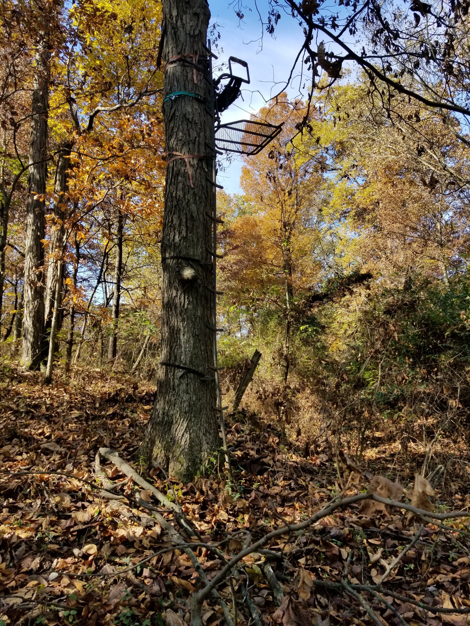 20191105_115102.jpg