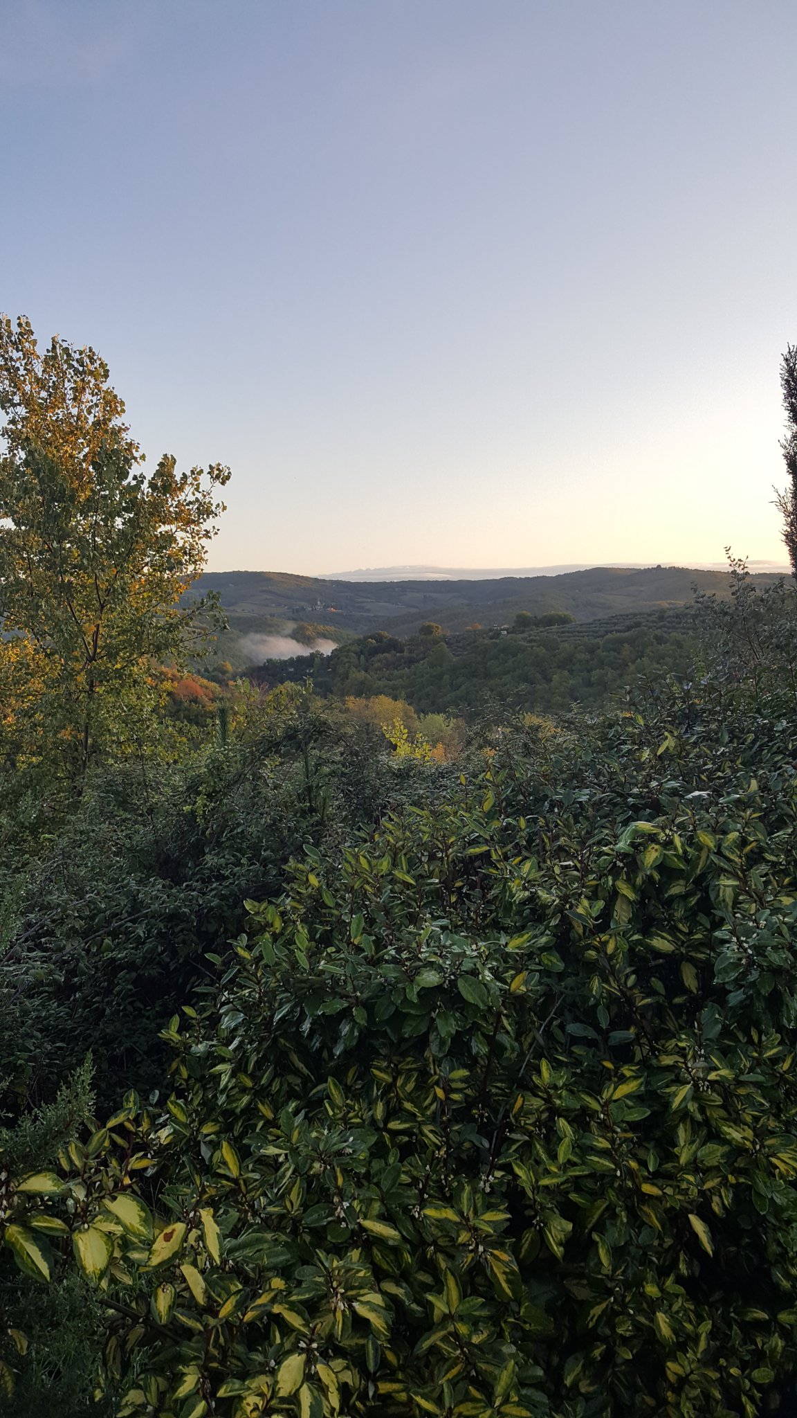 20191109_072225.jpg