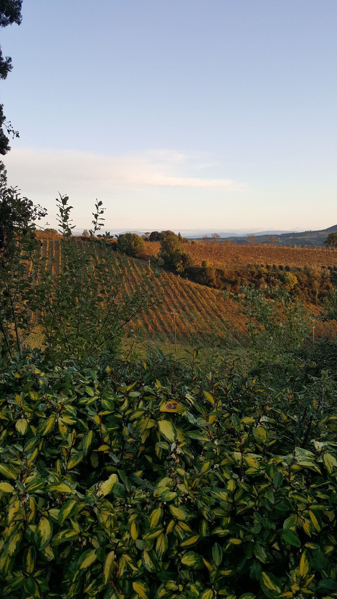 20191109_072231.jpg