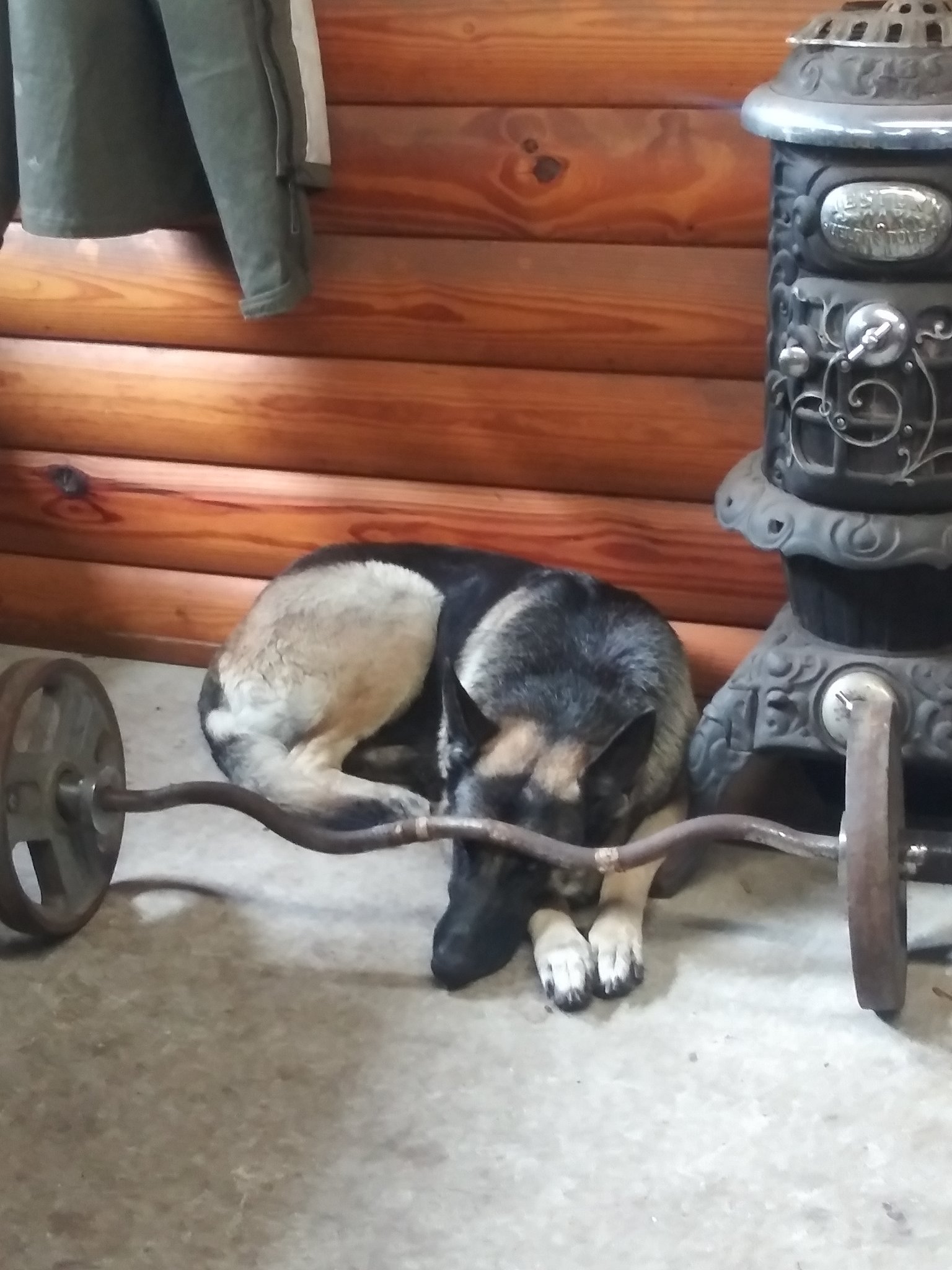 20191115_103236.jpg