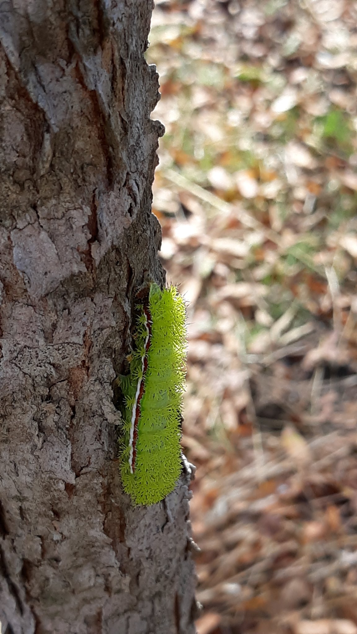 20191116_102010.jpg
