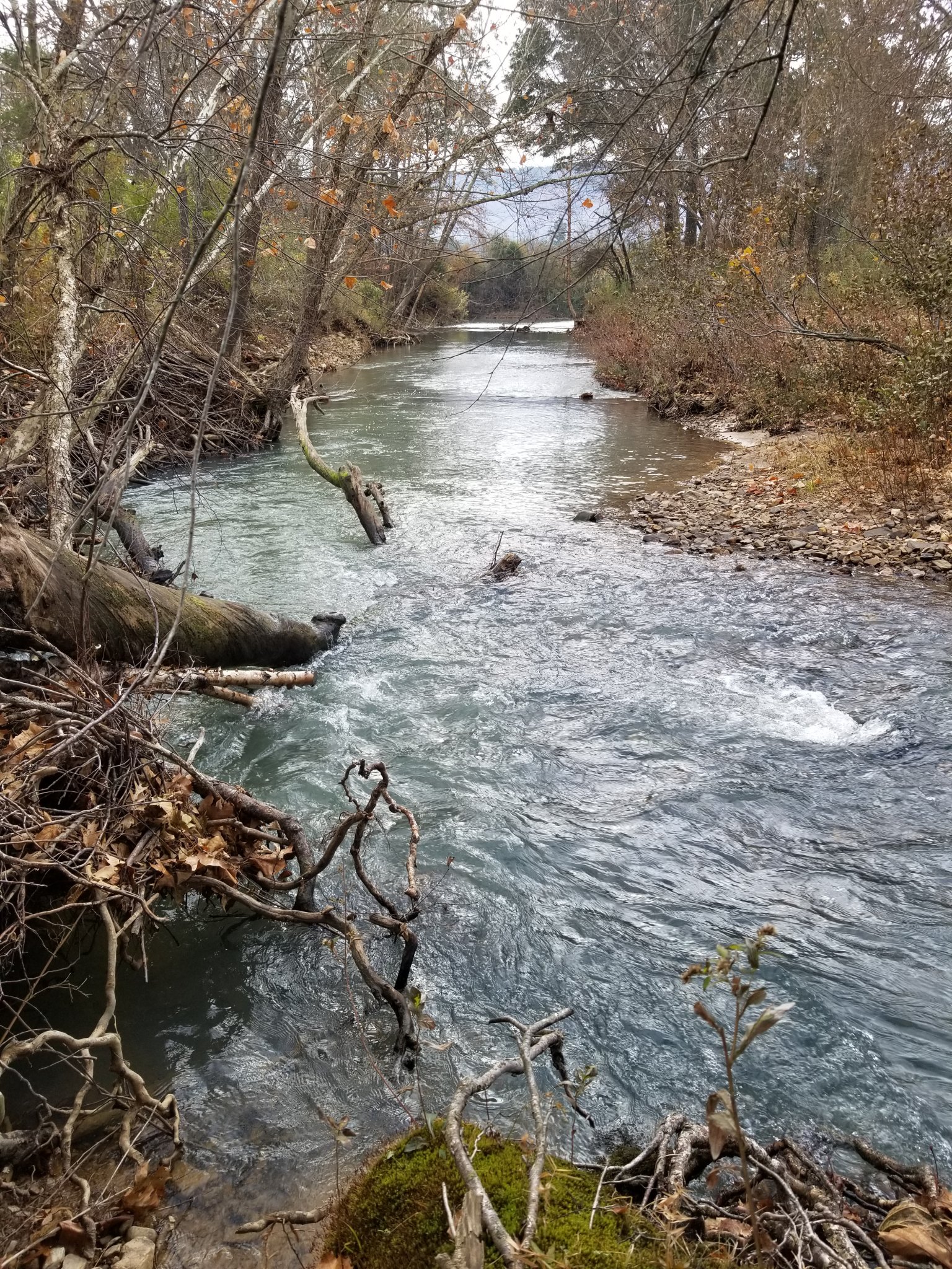 20191118_085513.jpg