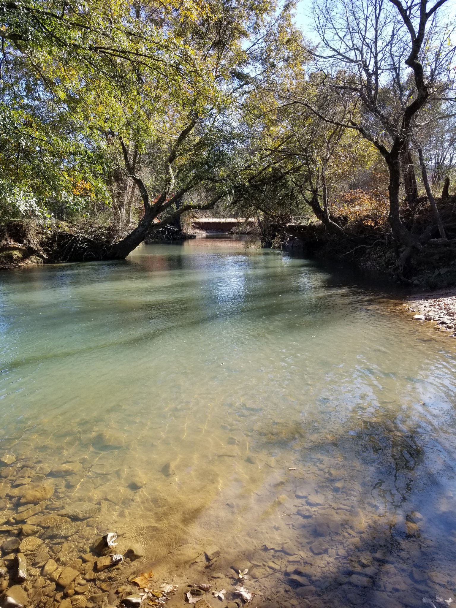 20191118_134938.jpg