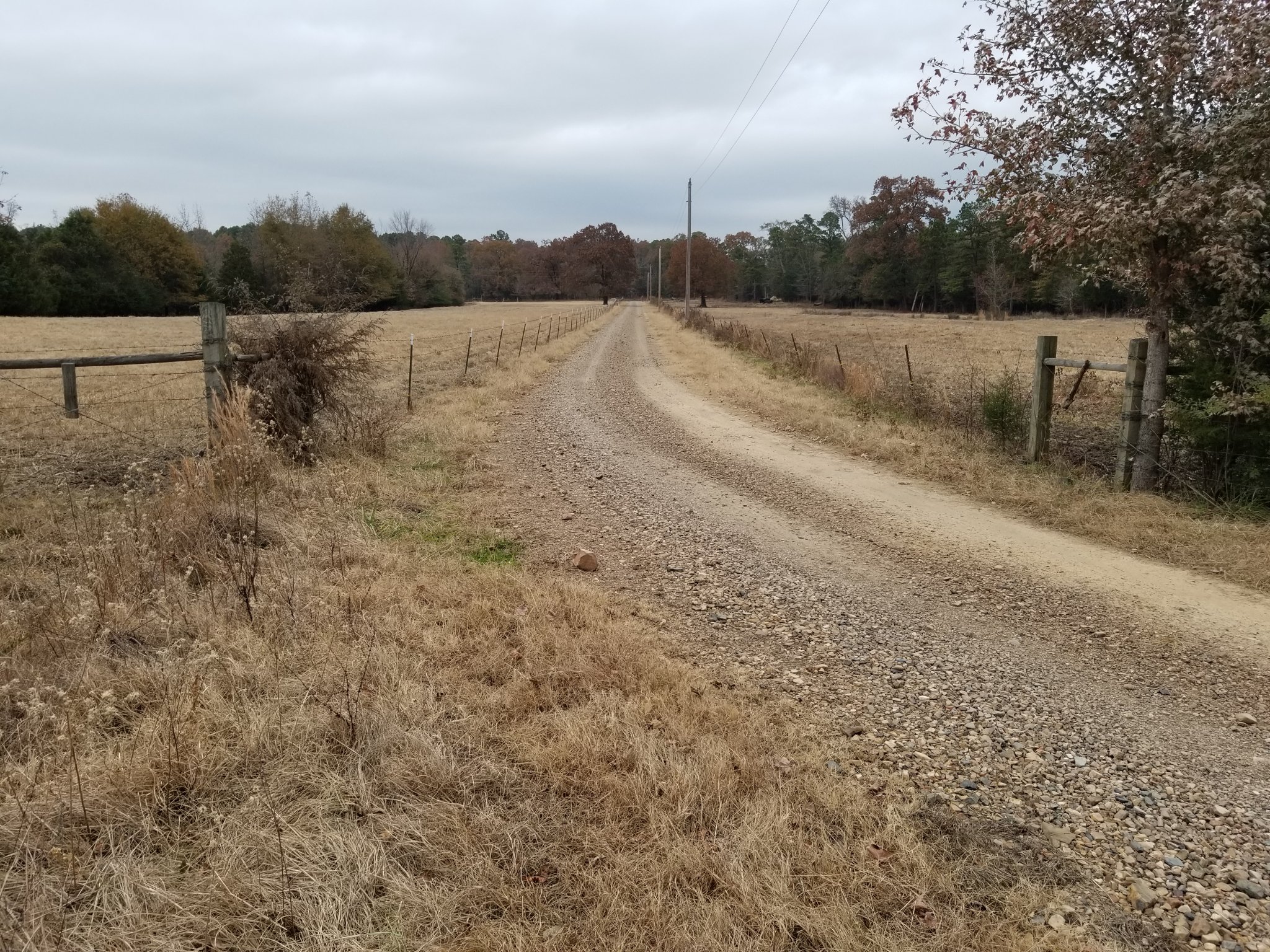 20191120_105658.jpg