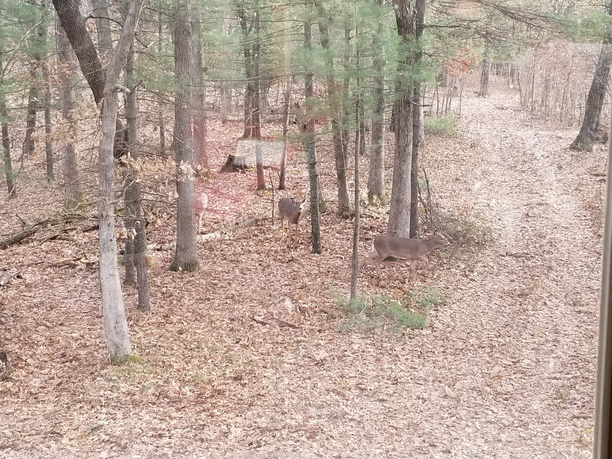 20191124_093727.jpg