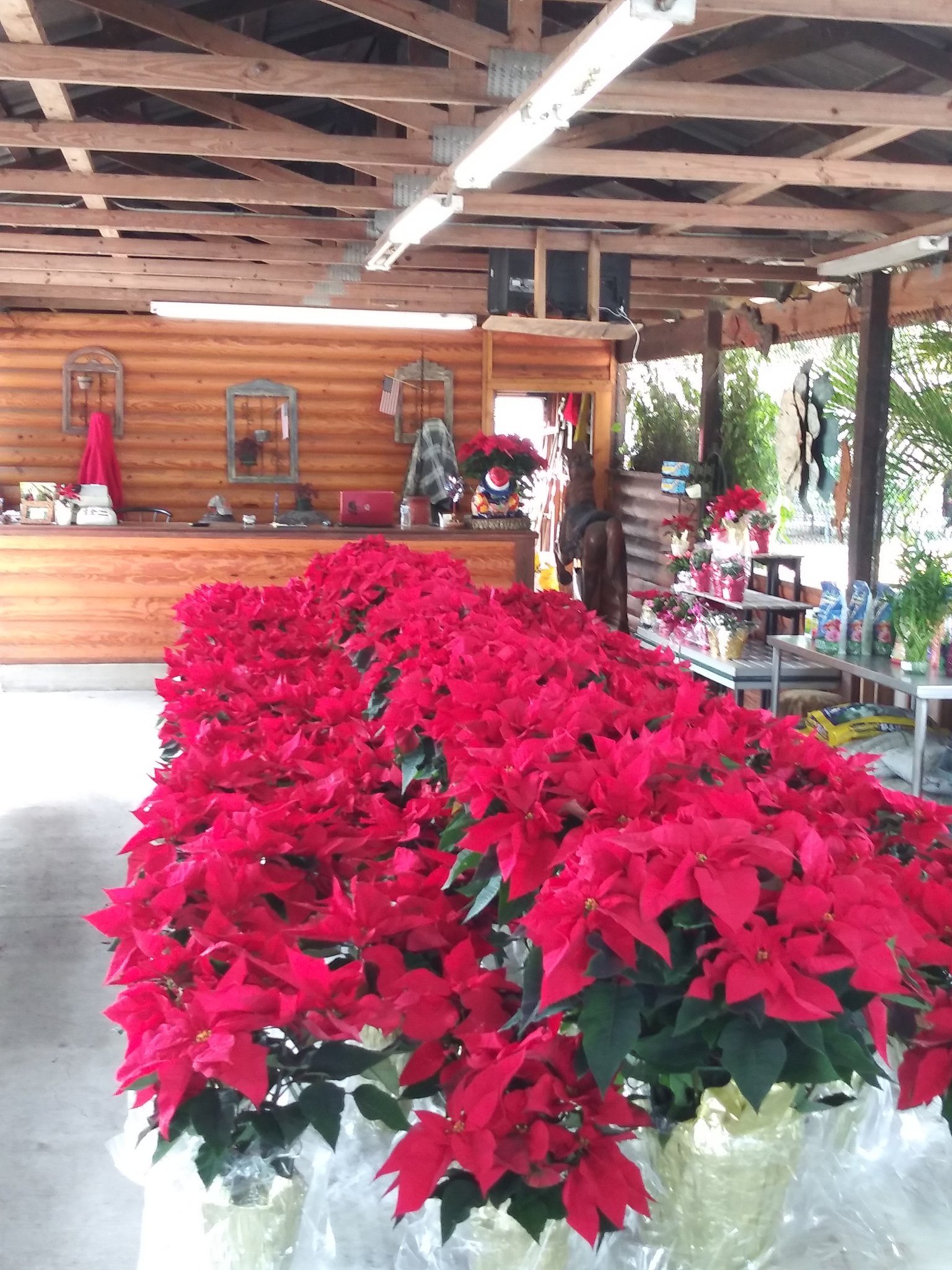 20191127_105906.jpg