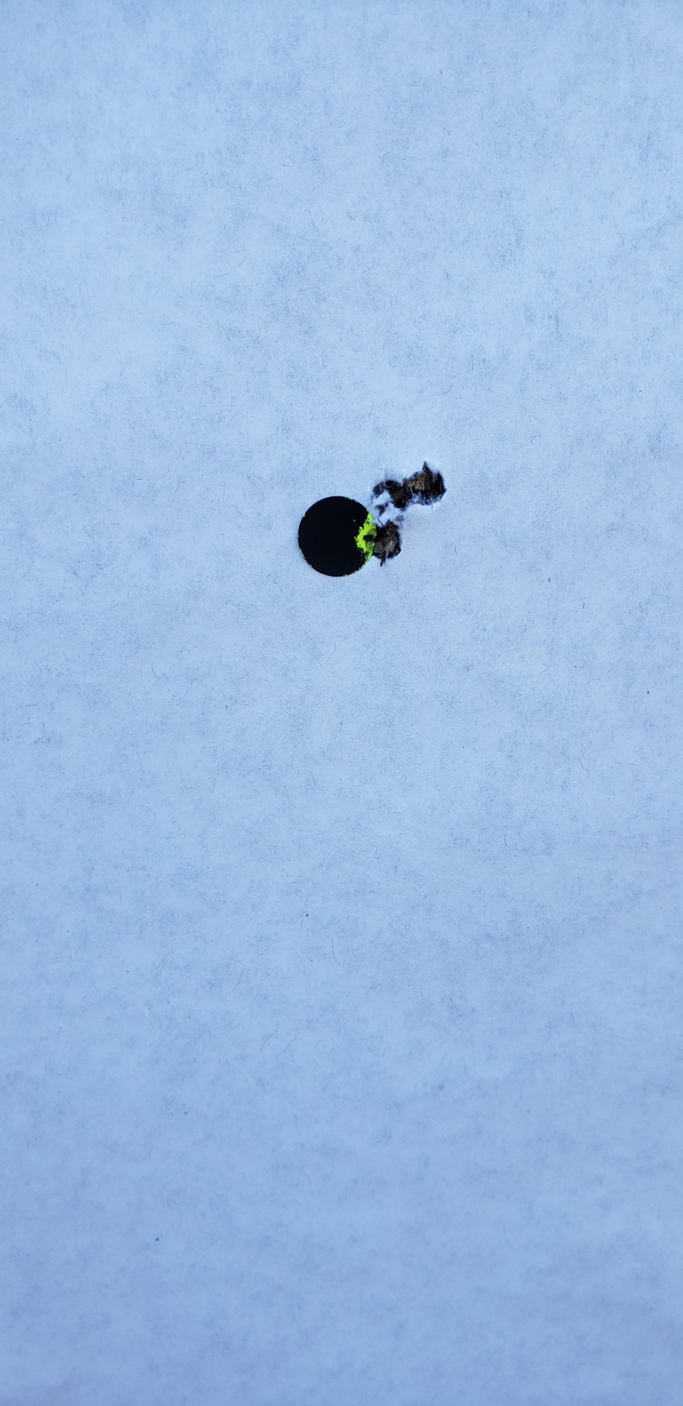 20191129_122012.jpg