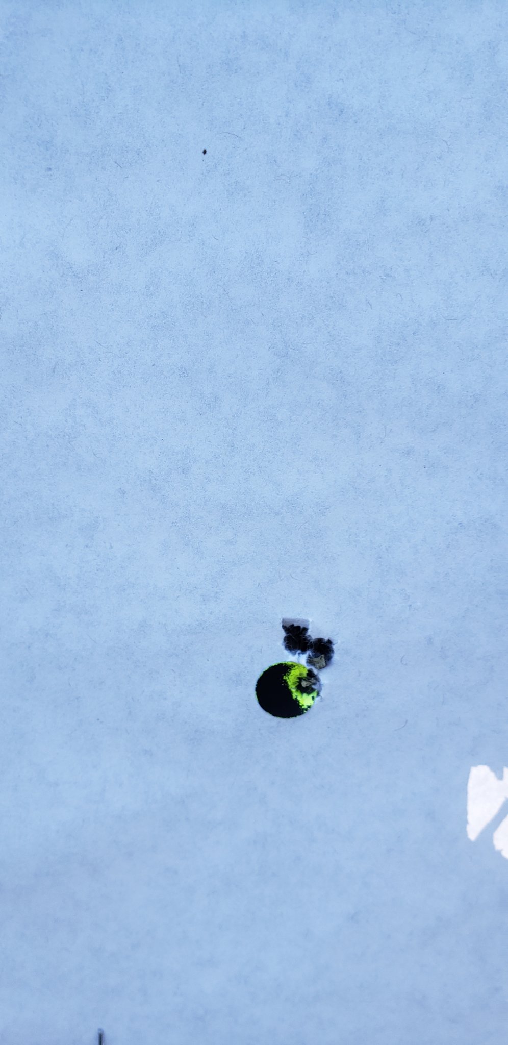 20191129_122014.jpg