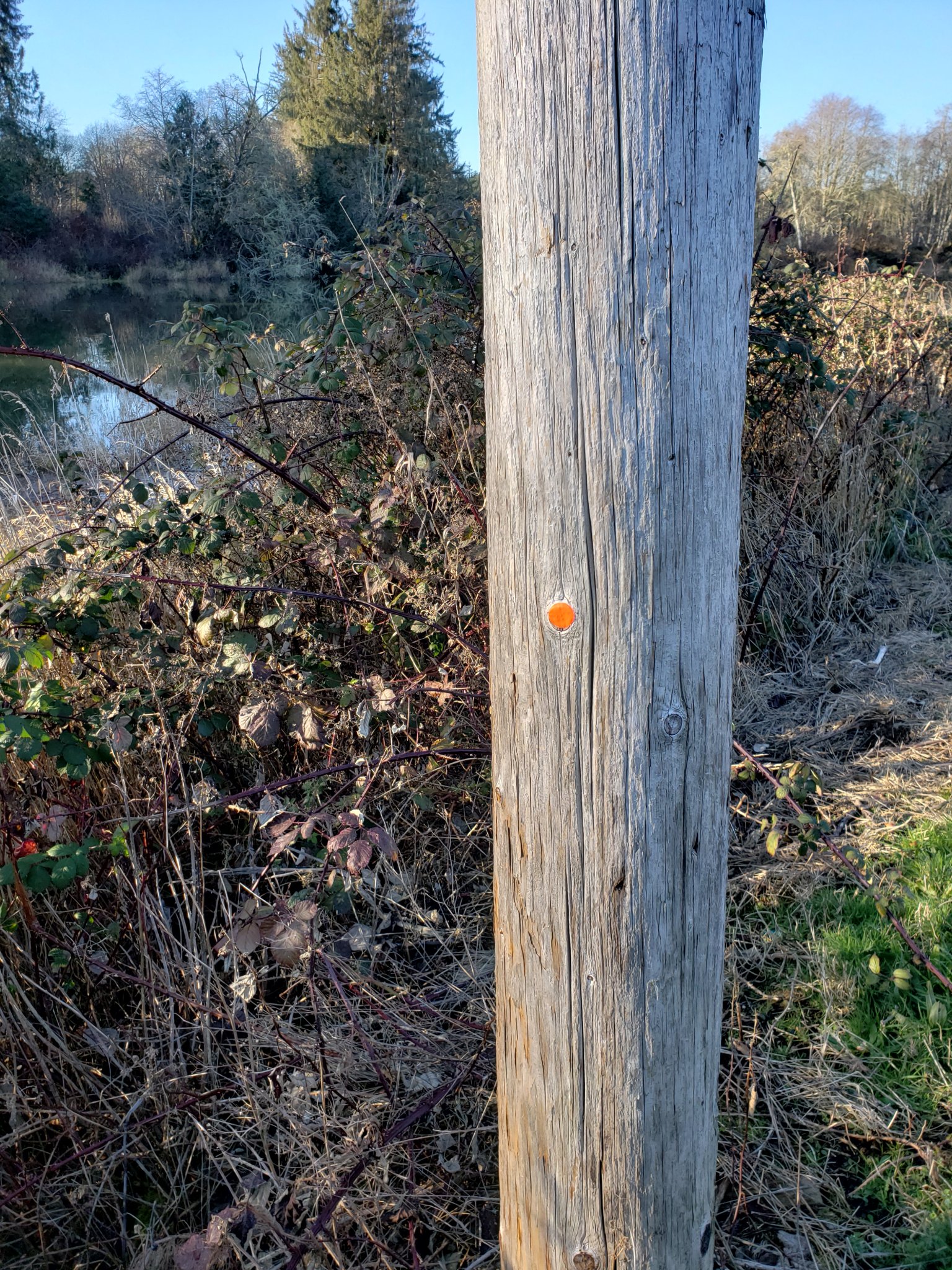 20191129_143325.jpg