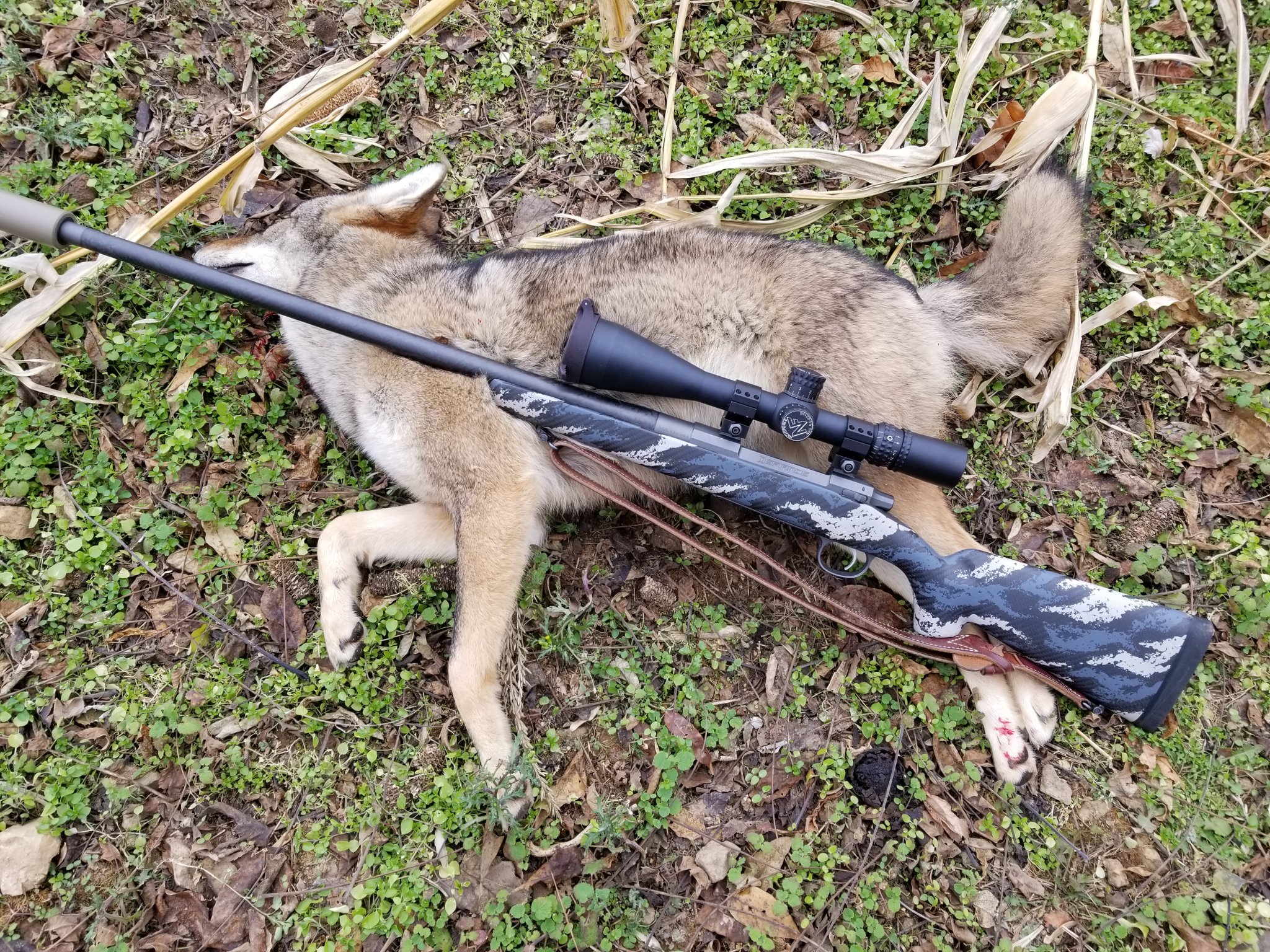 20191130_105618.jpg