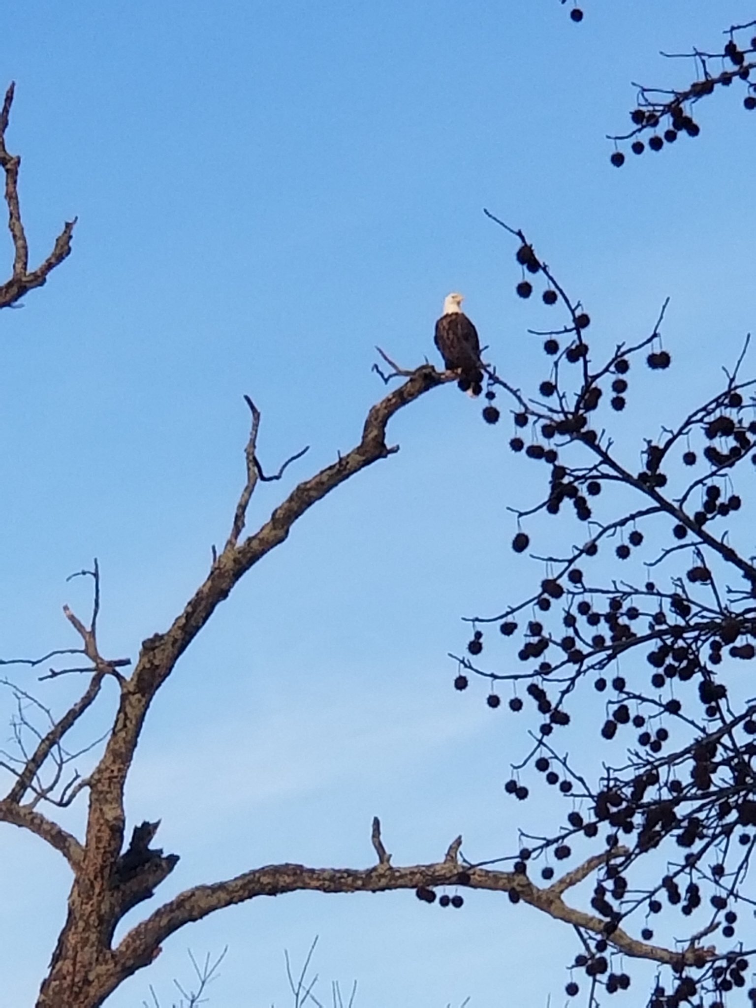 20191203_074427.jpg