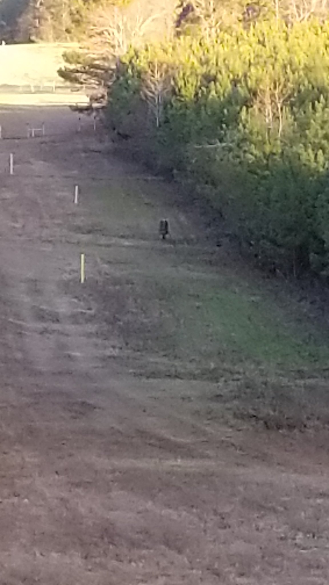 20191203_162048.jpg