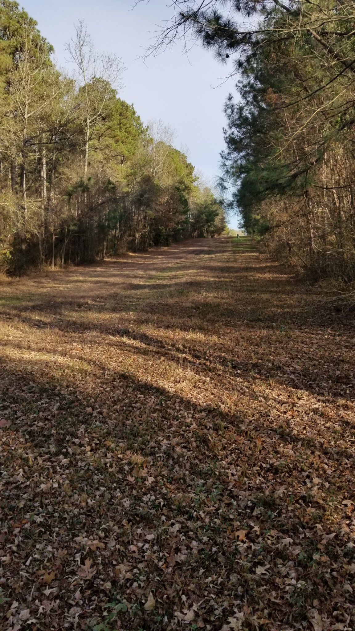 20191204_150356.jpg