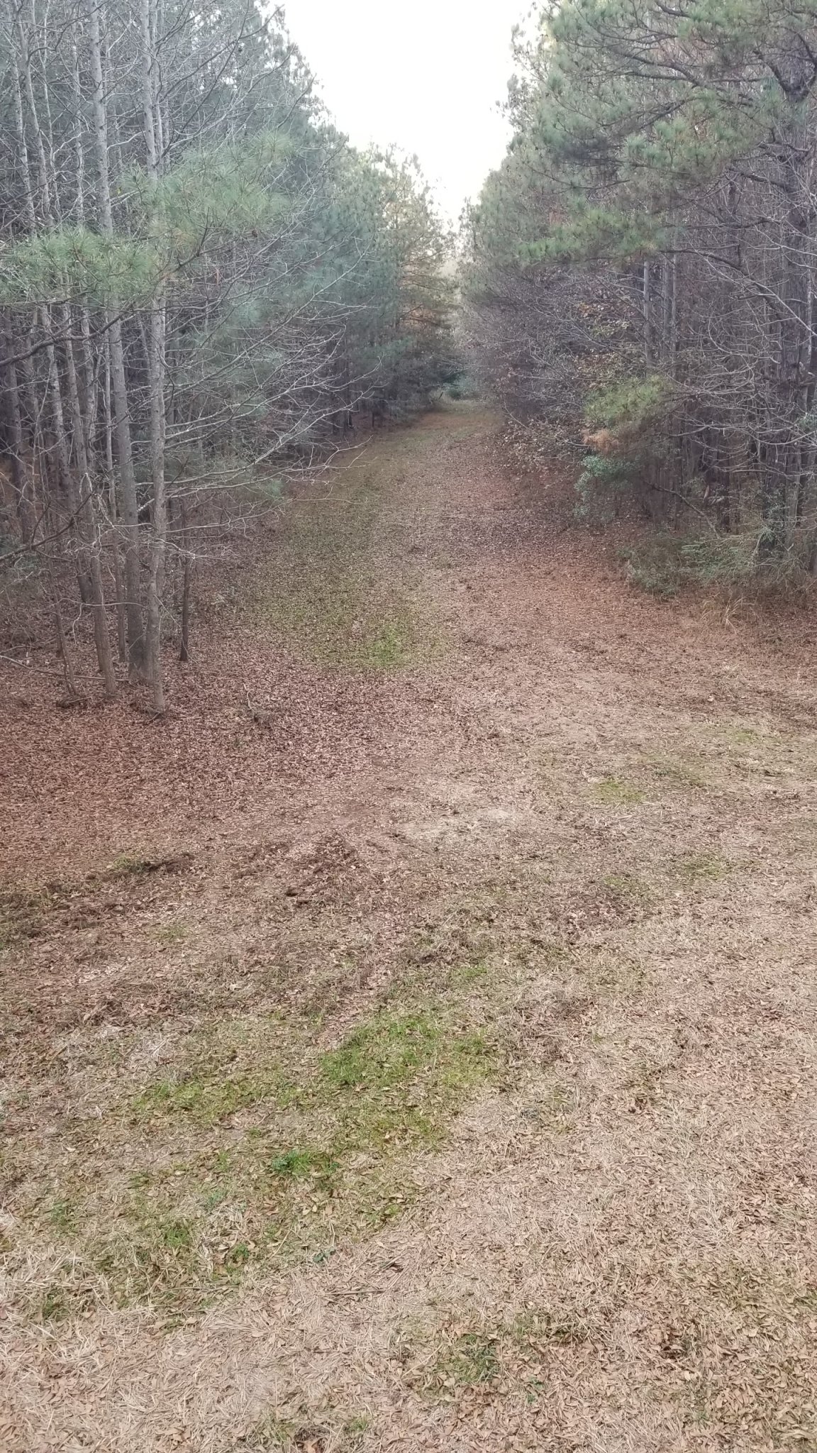 20191204_160250.jpg