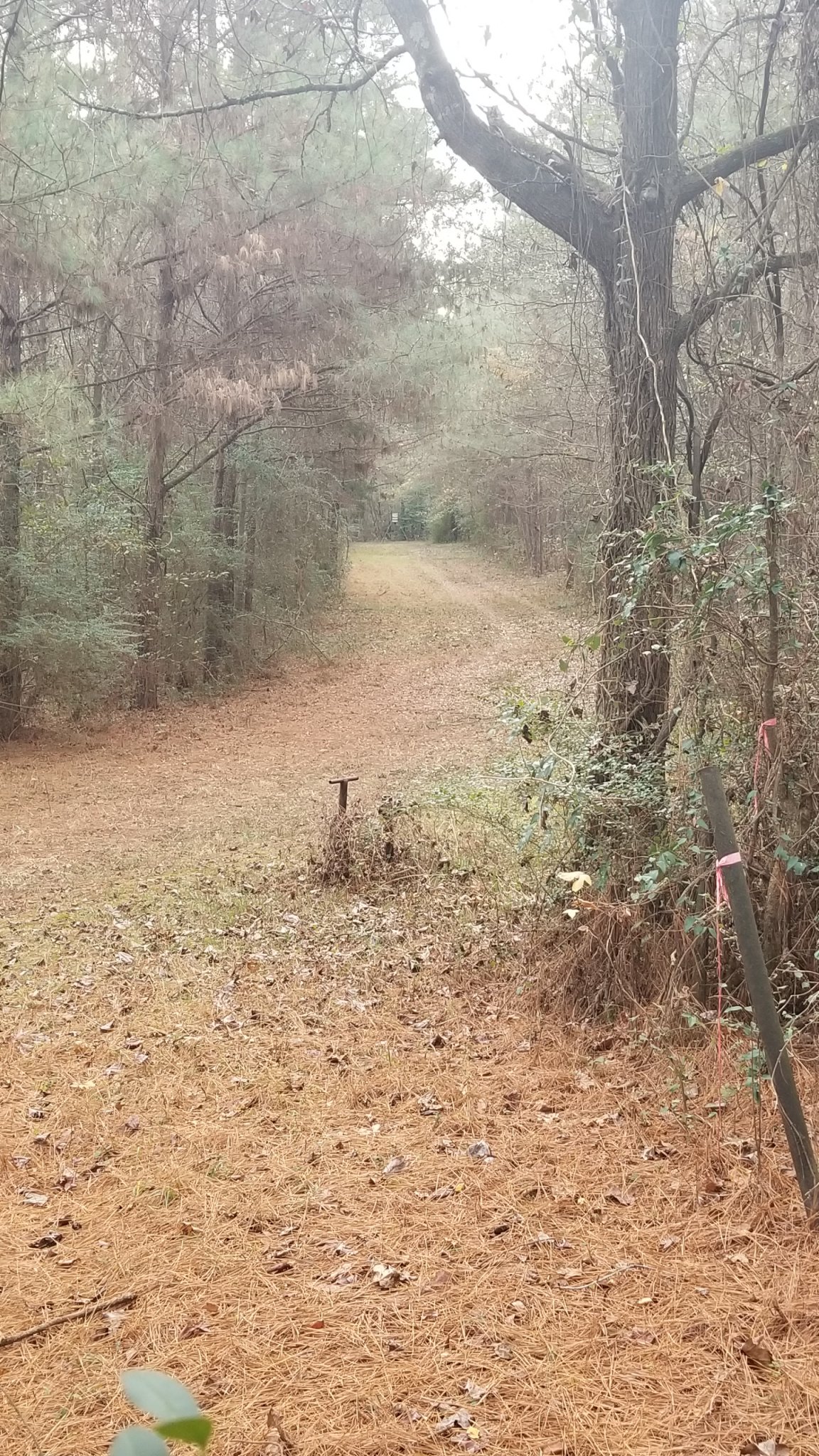 20191205_075203.jpg