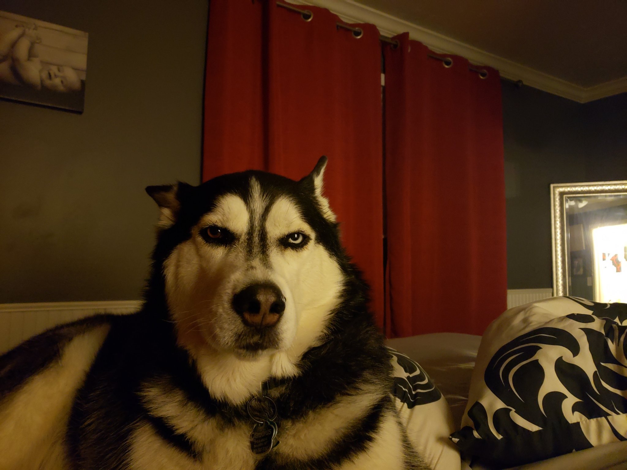20191205_214137.jpg