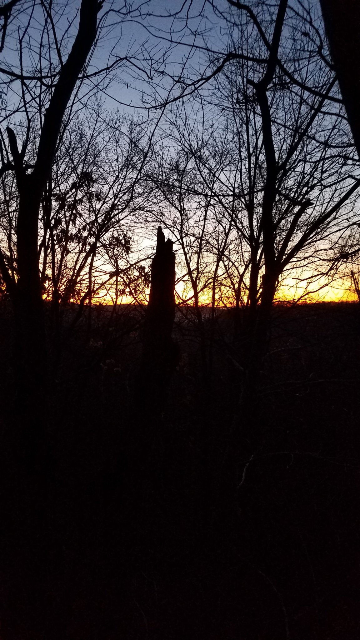 20191207_070350.jpg