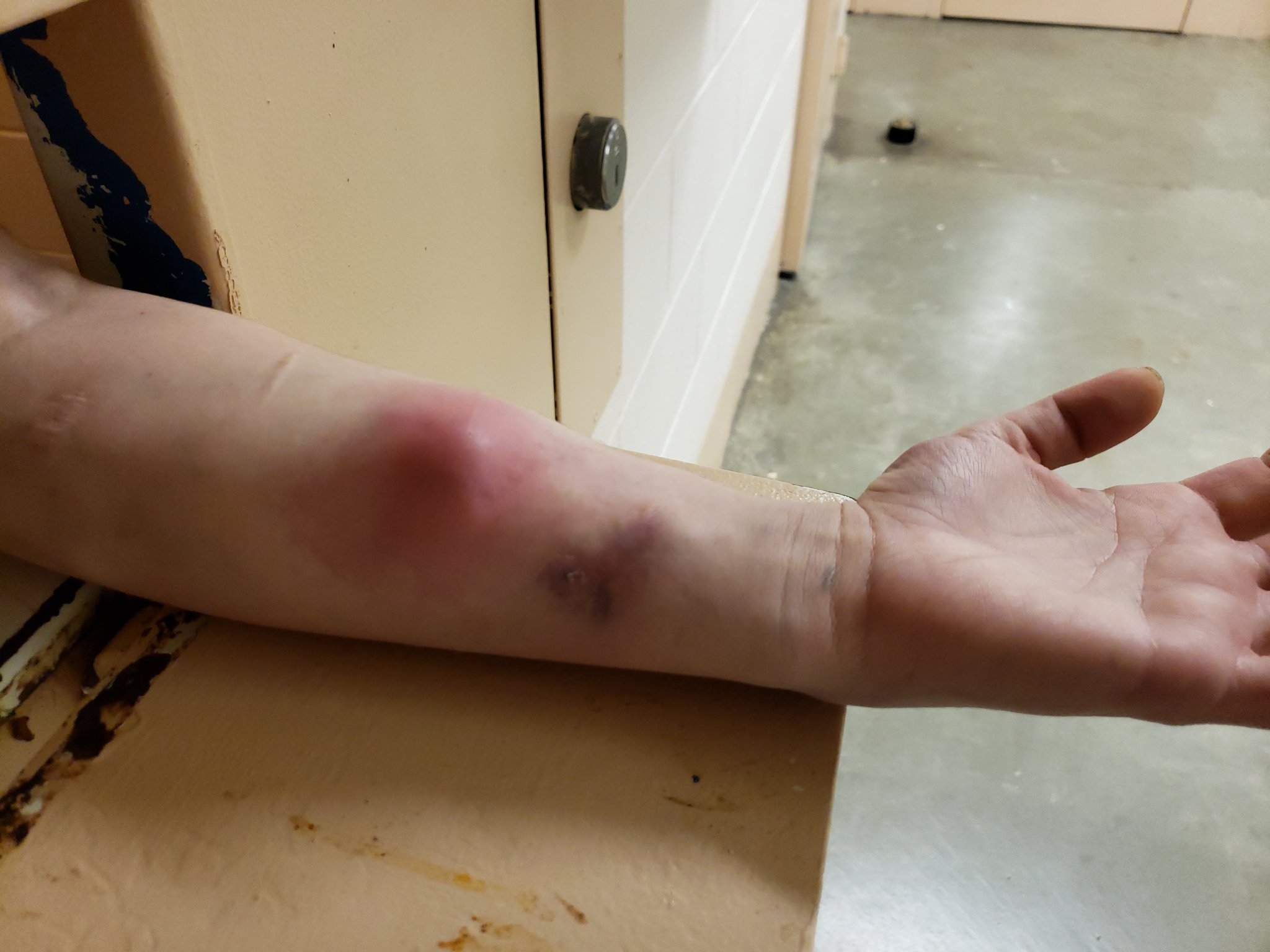 20191208_093940.jpg