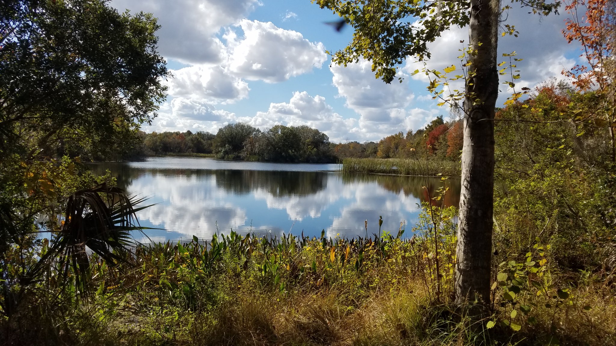 20191208_140120.jpg