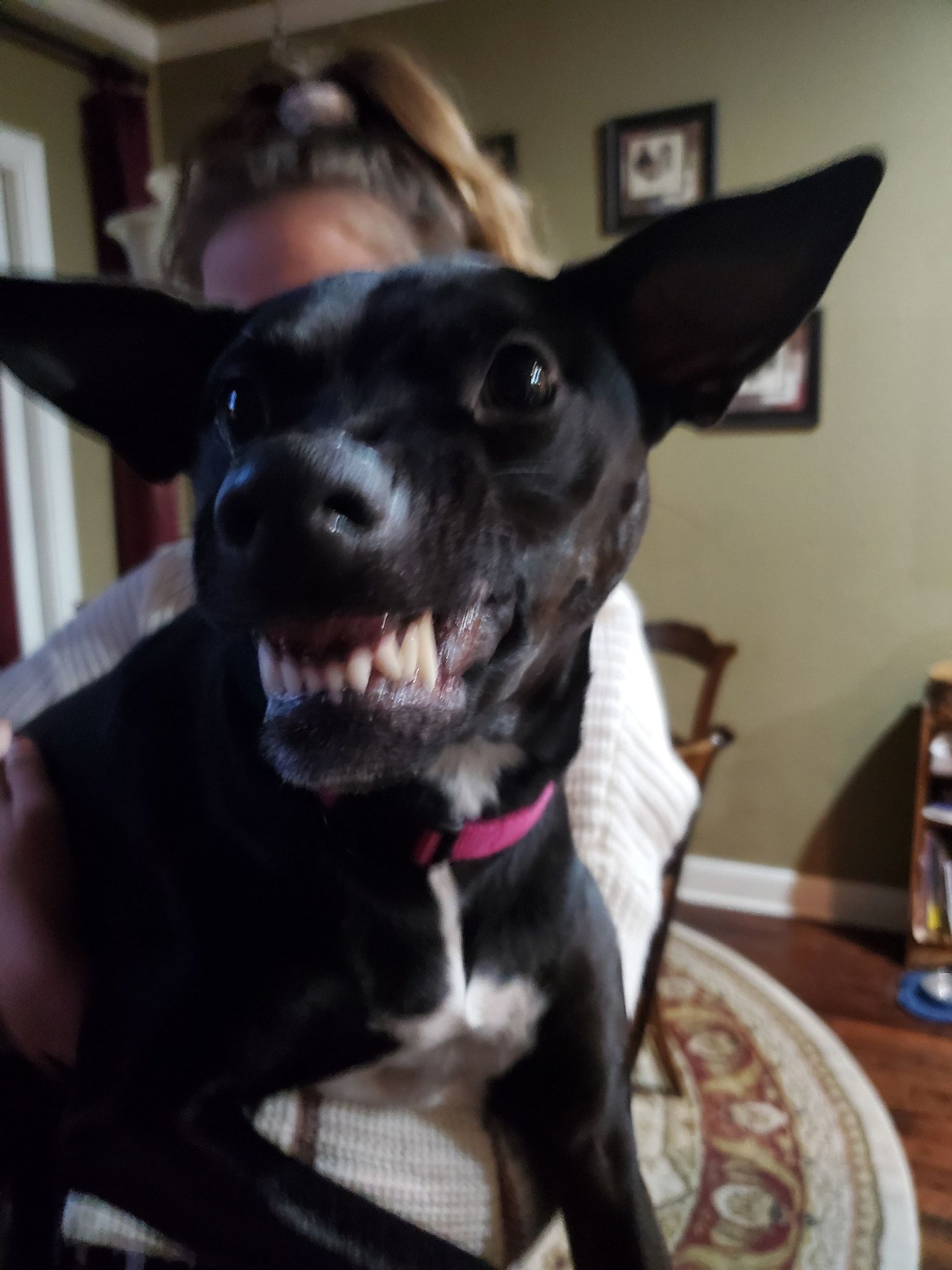 20191220_171202.jpg