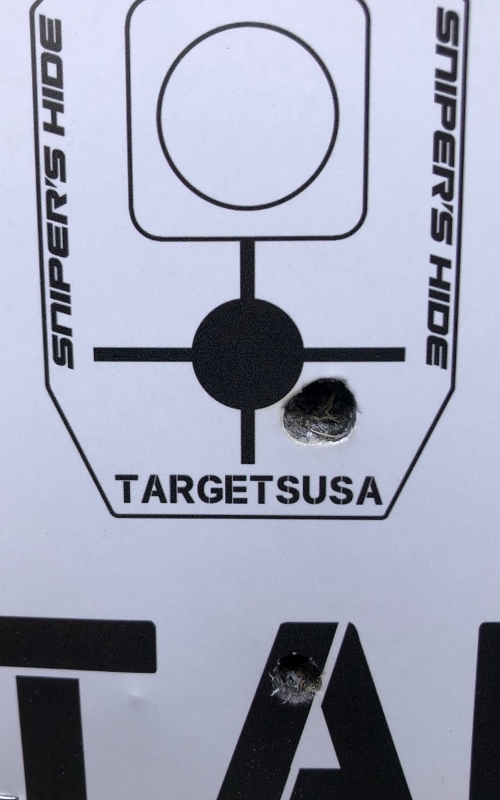 2020 June 8 APRC PR2 Day1 MO 6 (800x1280) (500x800).jpg