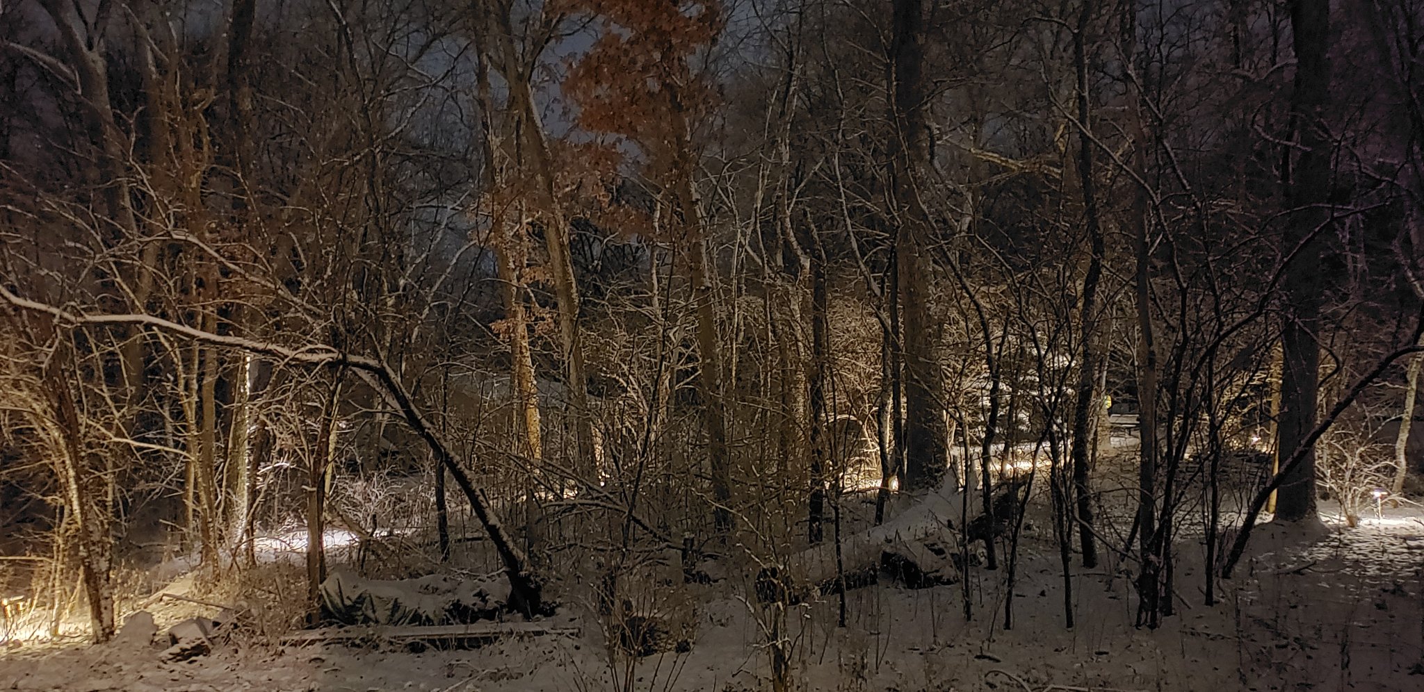20200111_202227.jpg