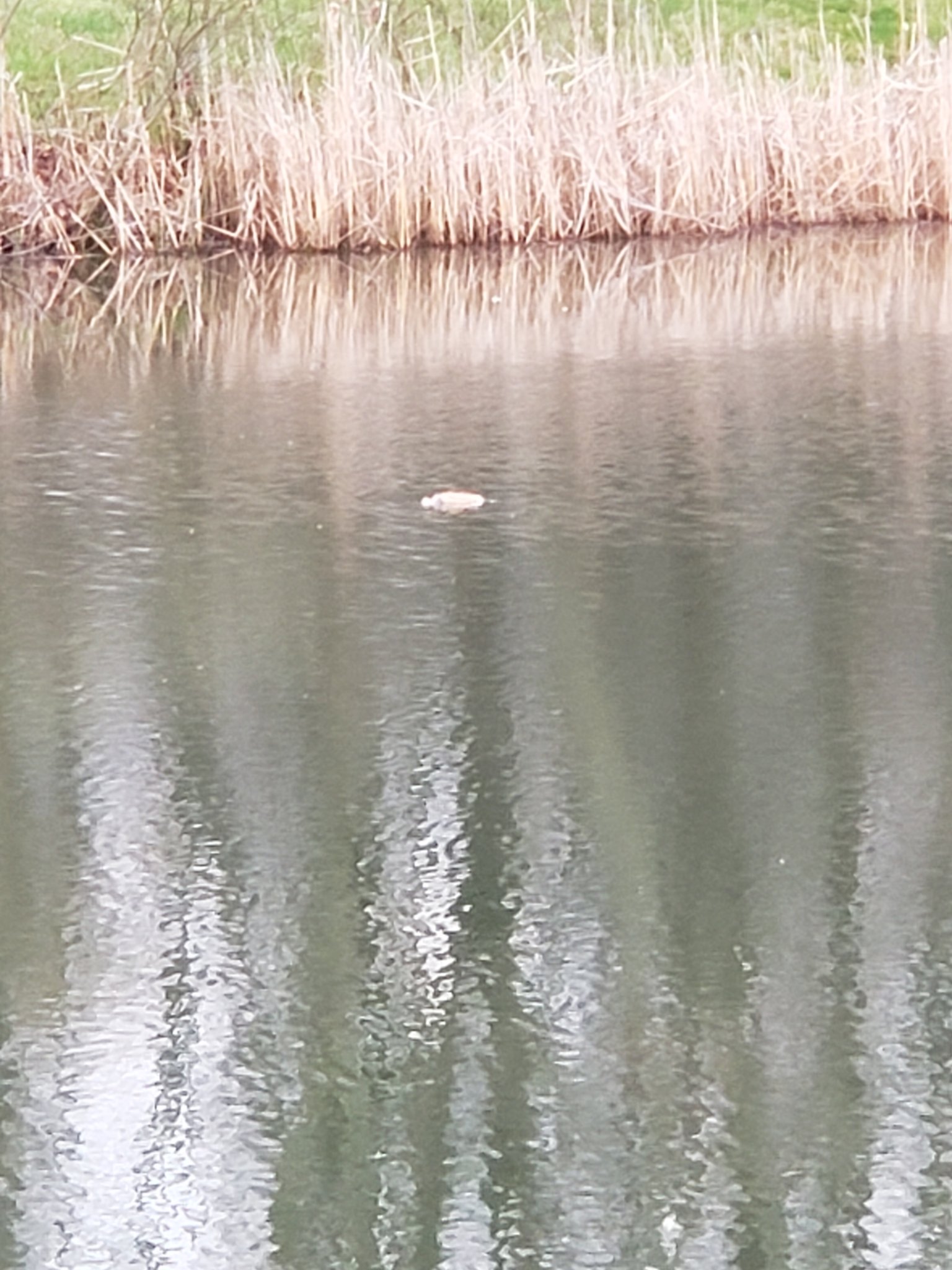 20200328_185635.jpg