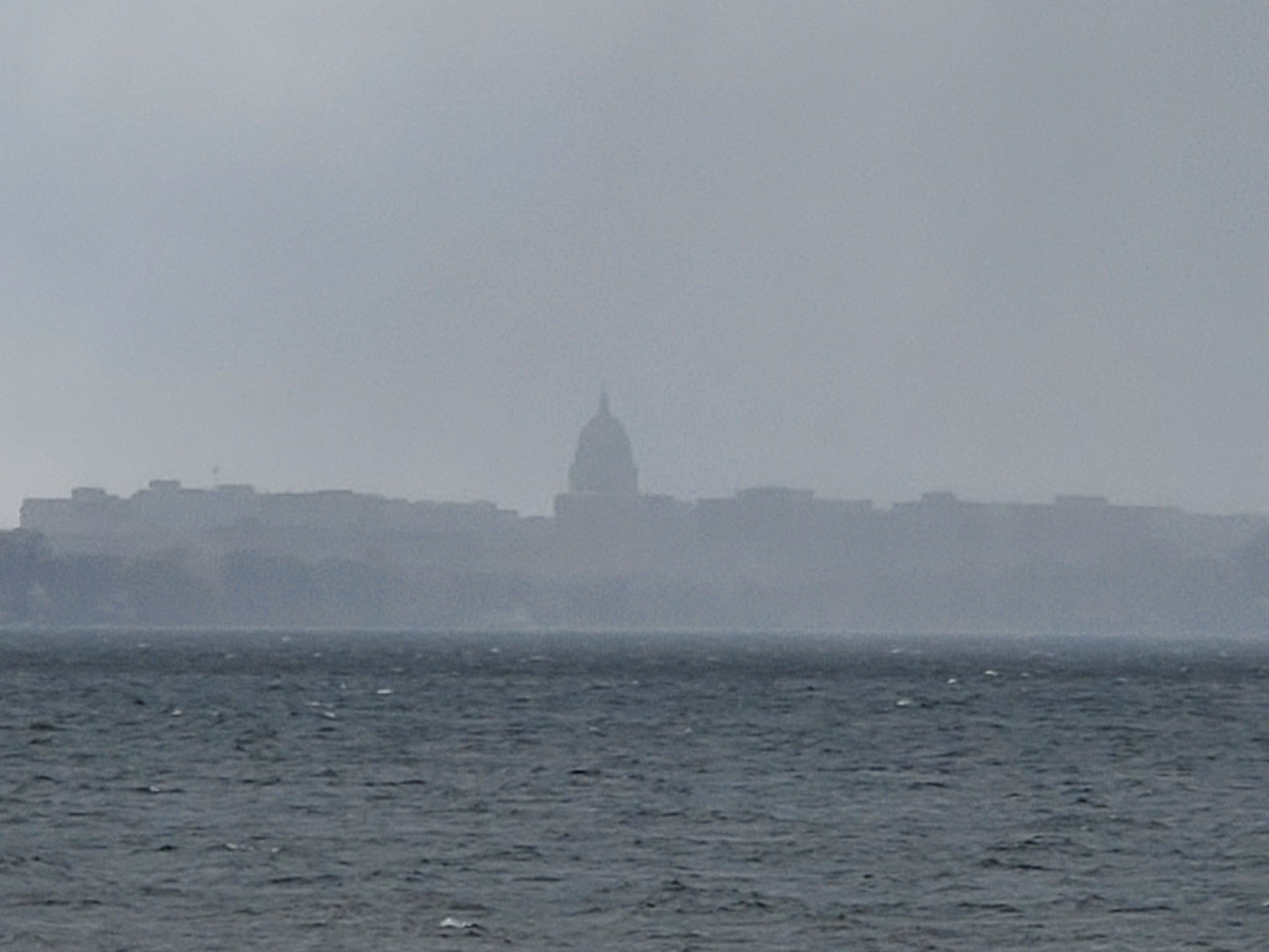 20200409_134903.jpg