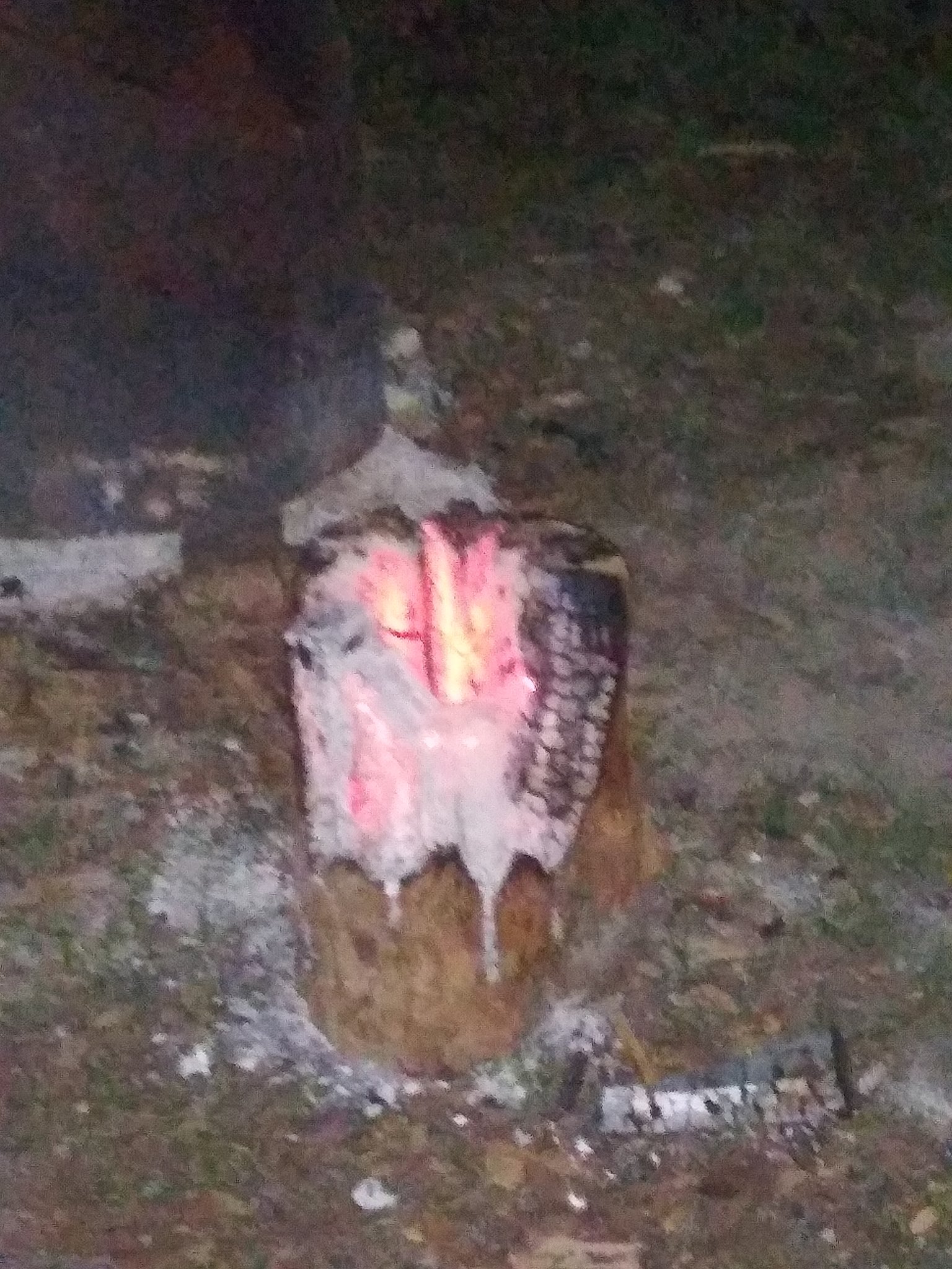 20200503_230933.jpg