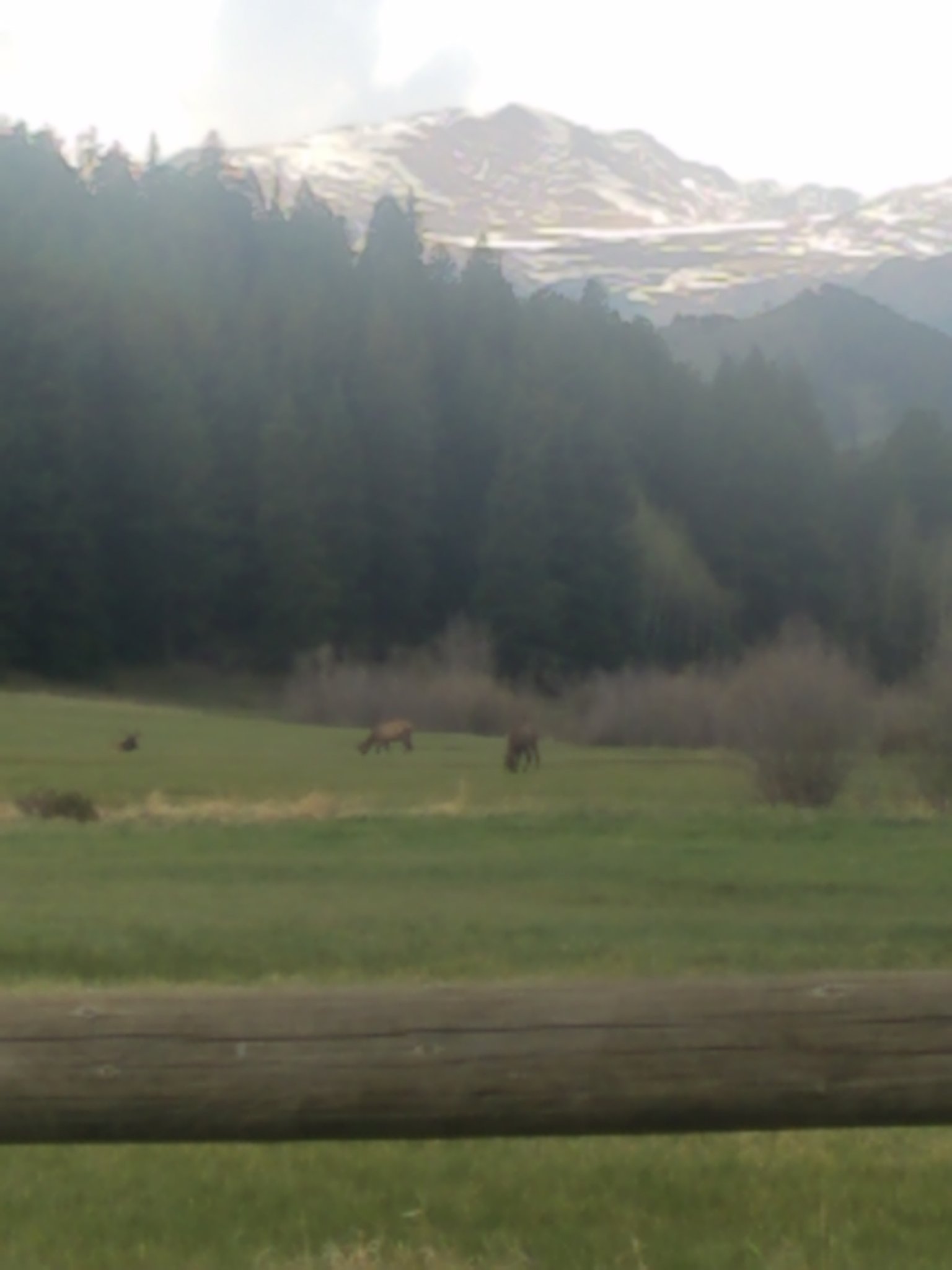 20200521_173401.jpg