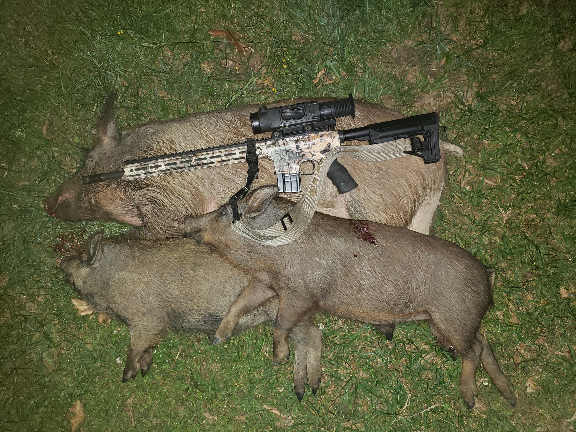 20200521_Sows Island 1.jpg