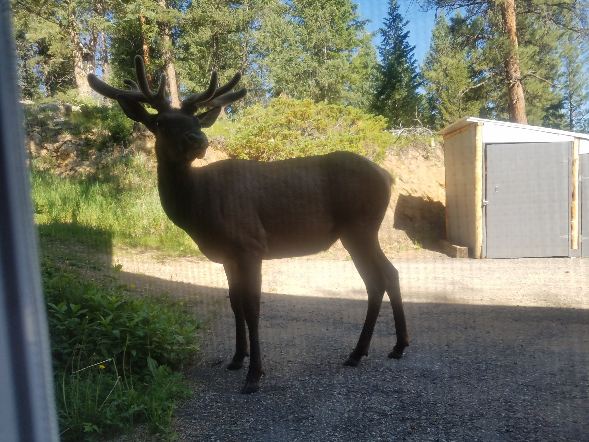 20200617_090617.jpg