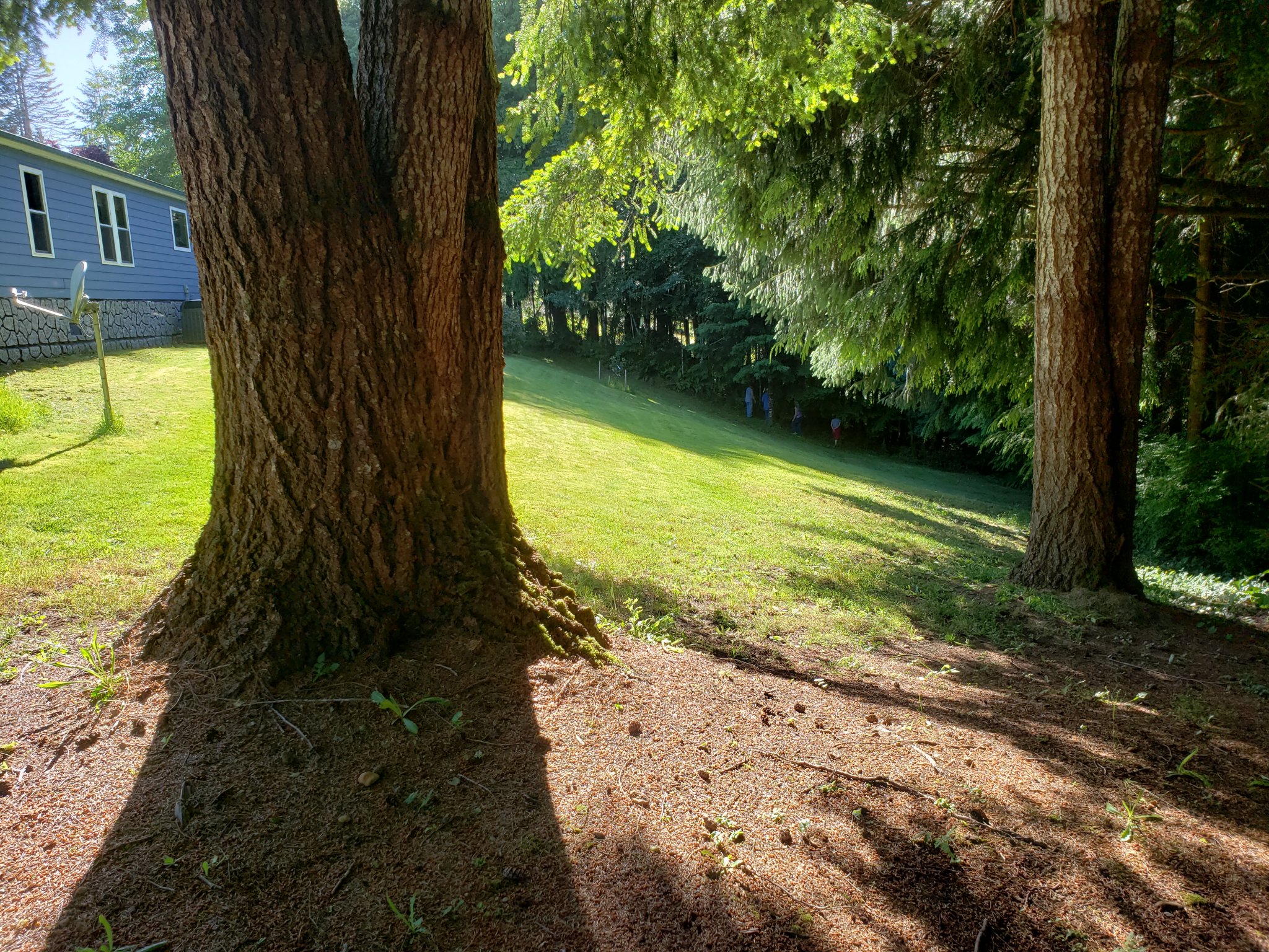 20200618_174311.jpg