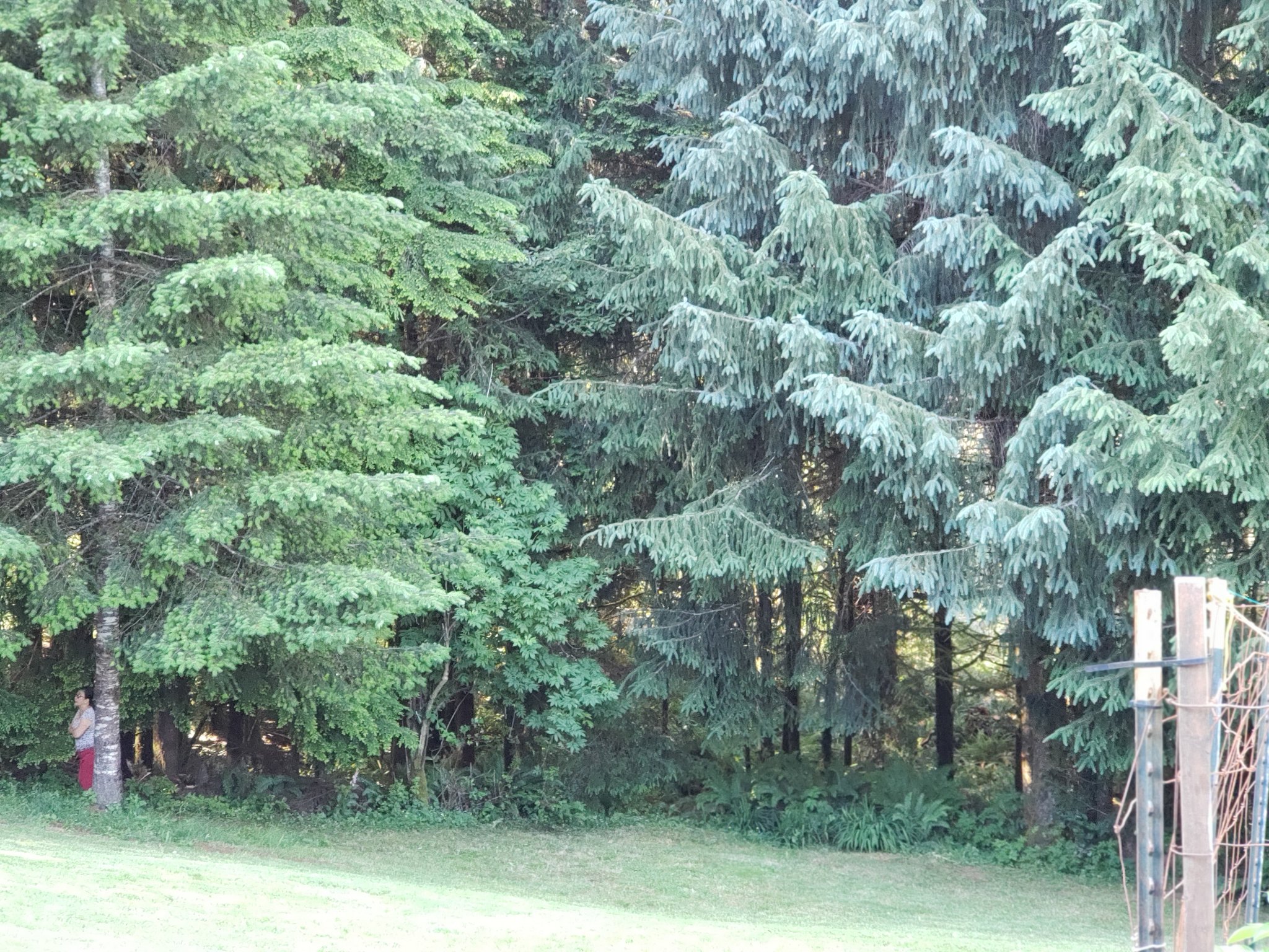 20200618_174550.jpg