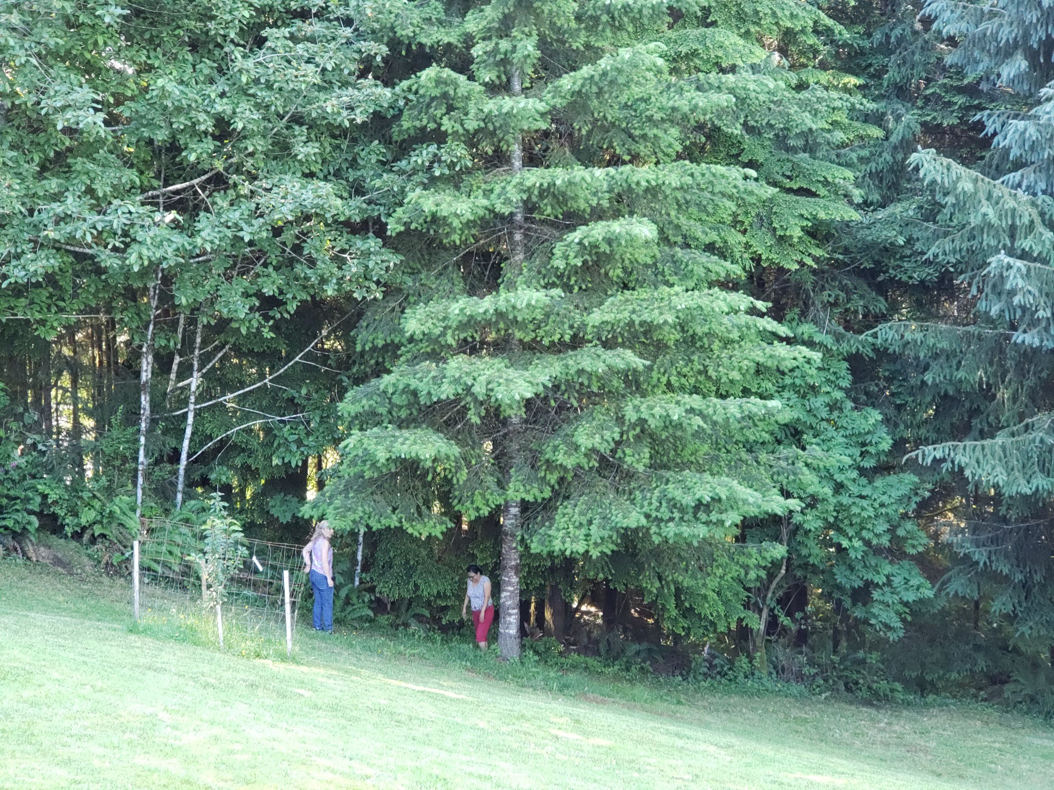 20200618_174555.jpg