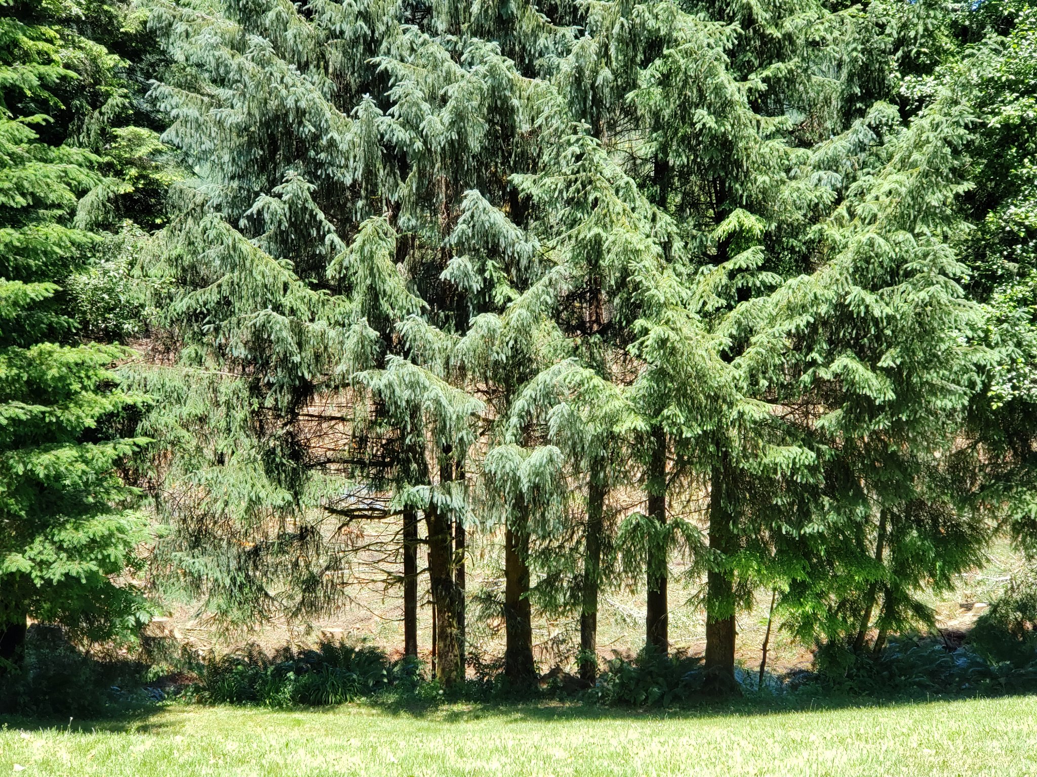20200626_133930.jpg