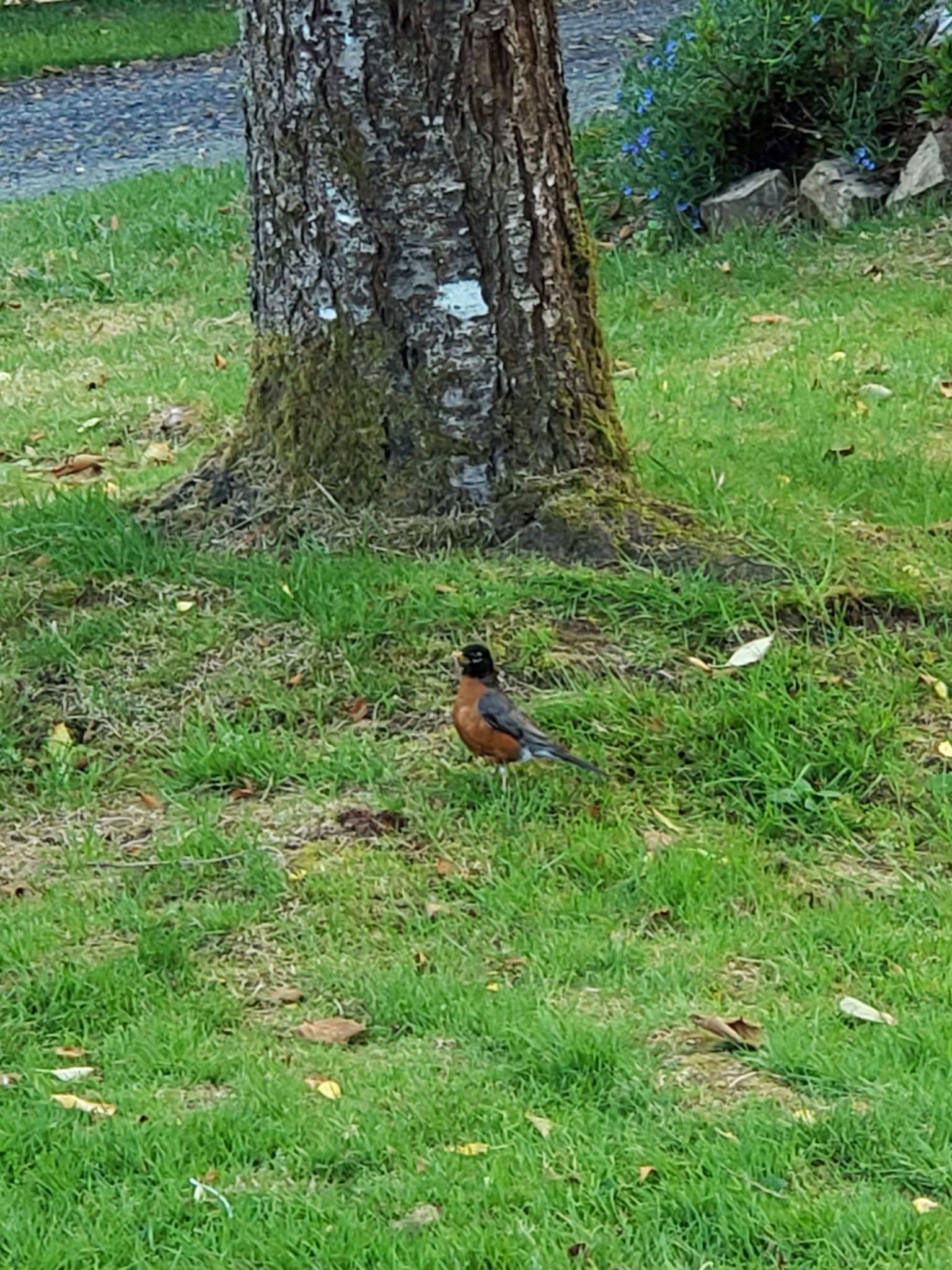 20200628_200419.jpg