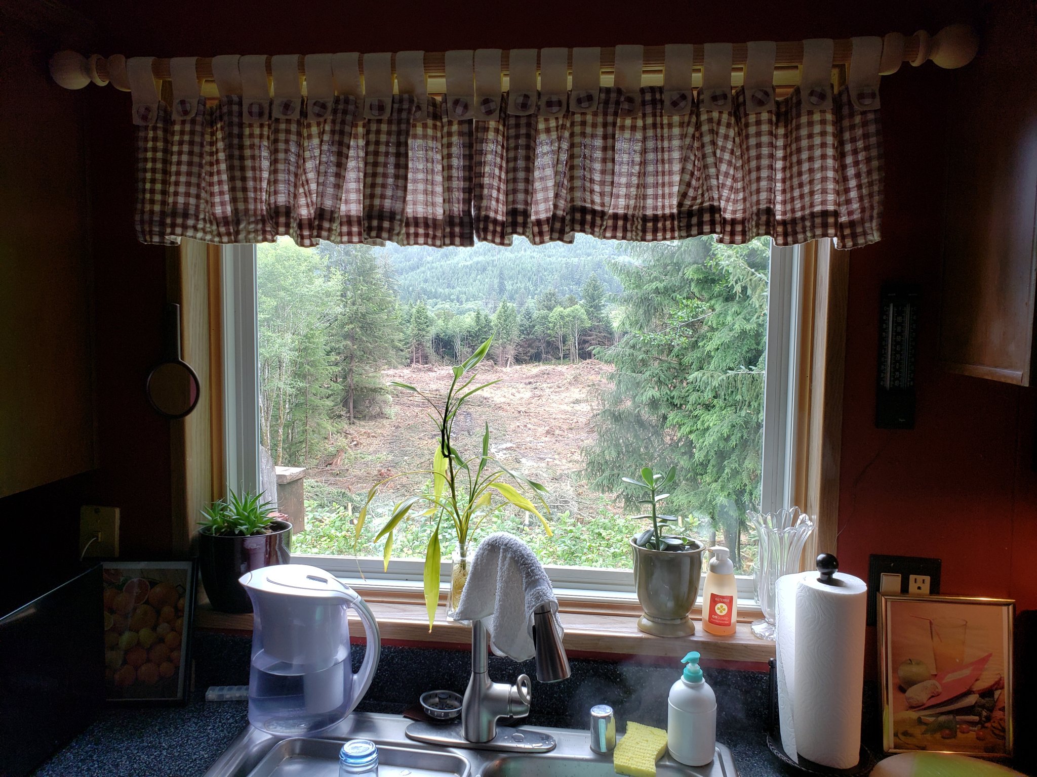 20200630_164053.jpg
