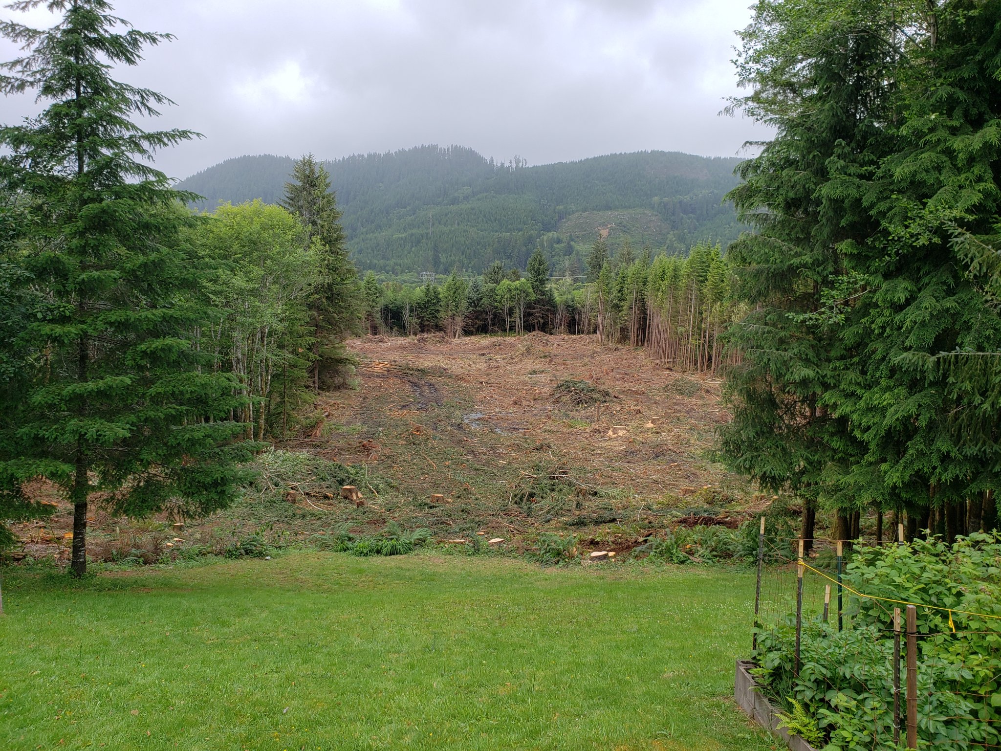 20200630_181355.jpg