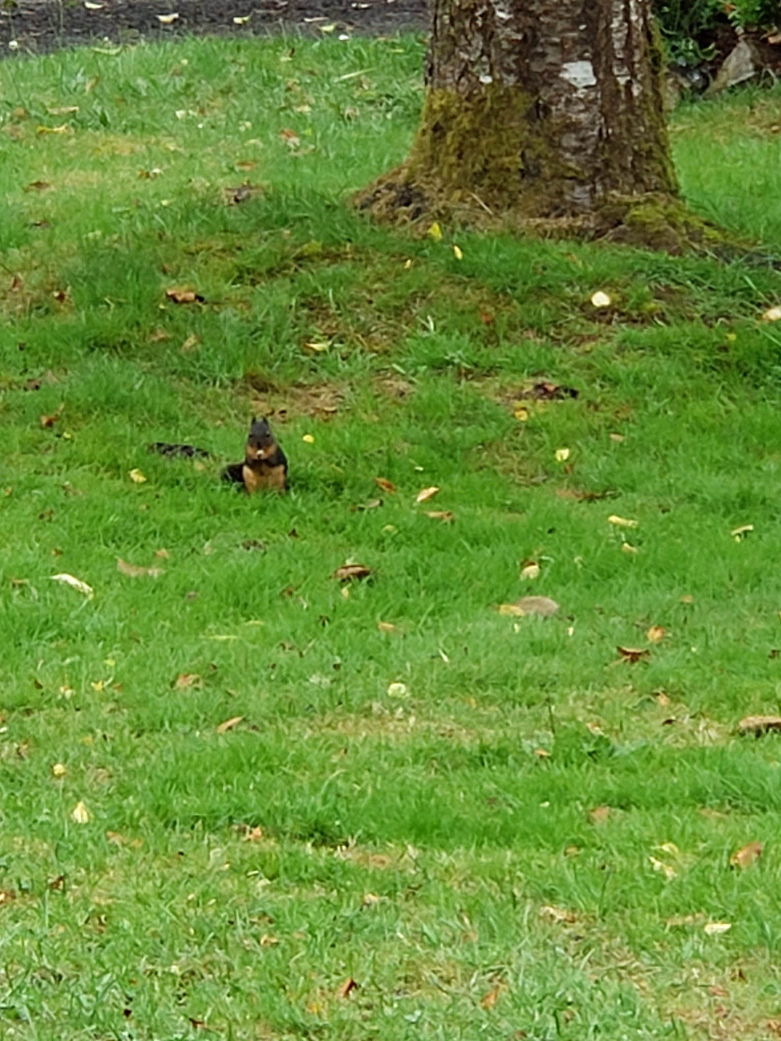 20200701_191222.jpg