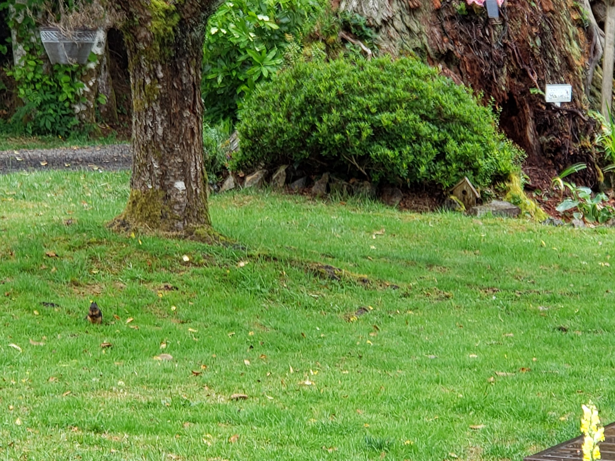 20200701_191247.jpg